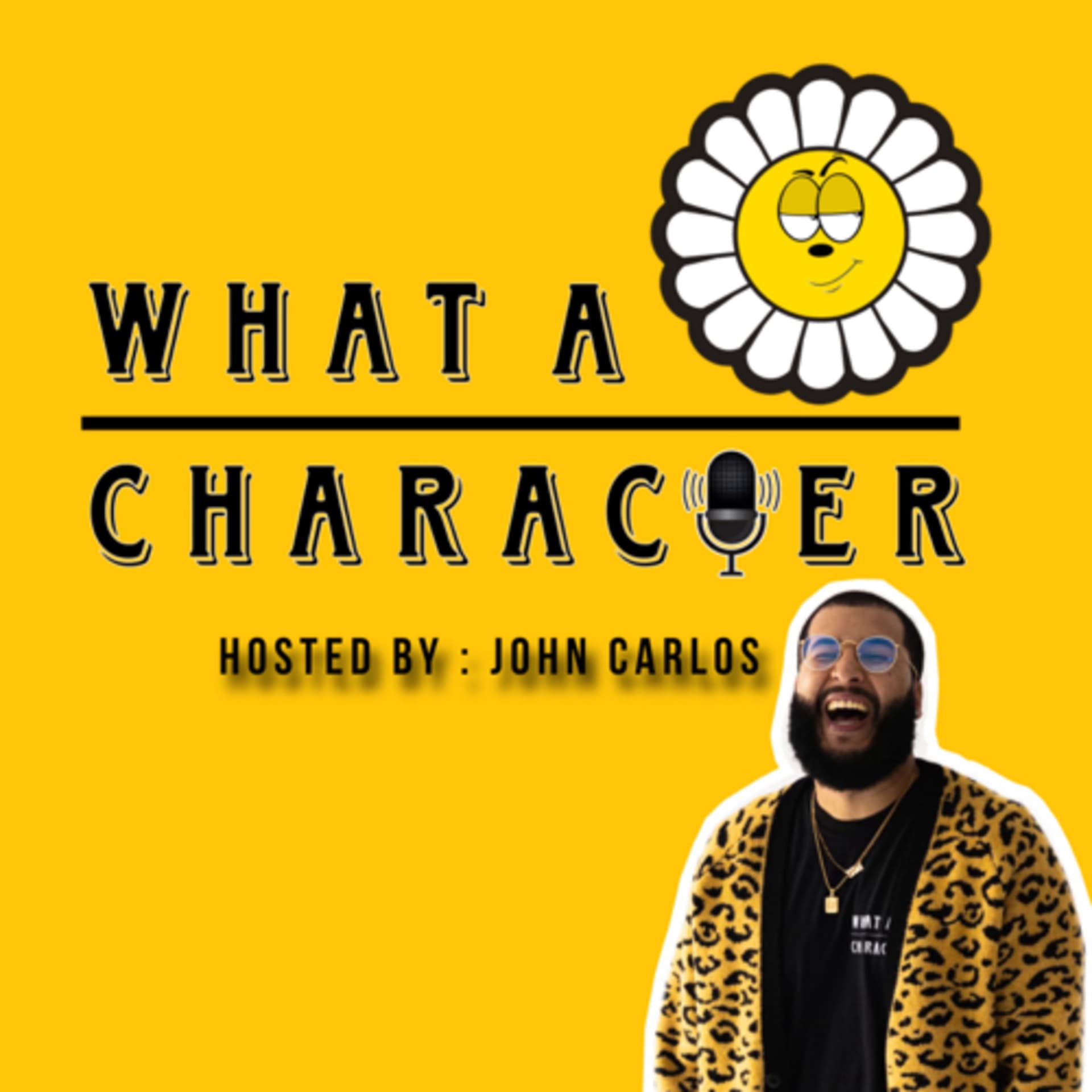 The What A Character Podcast - Podcasts
