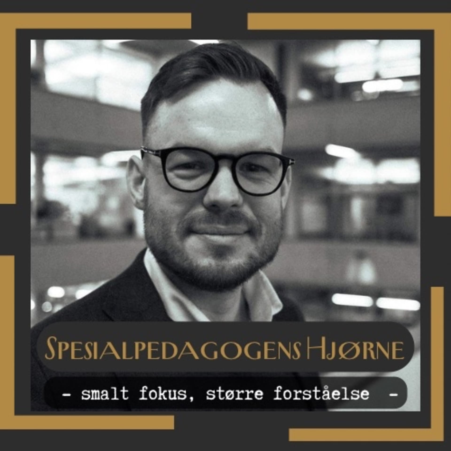 Spesialpedagogens hjørne - Podcasts