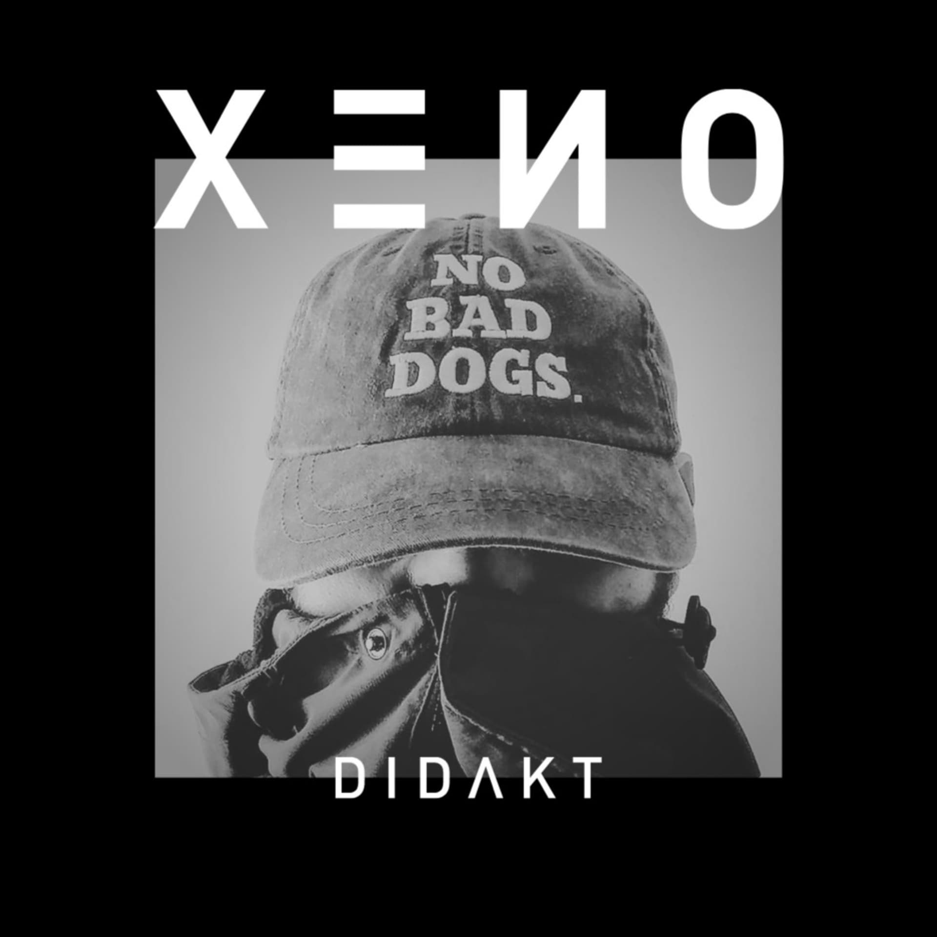 XENODIDAKT | Hunde, Träume, Motivation & die Theorie des Glücklichseins - Podcasts