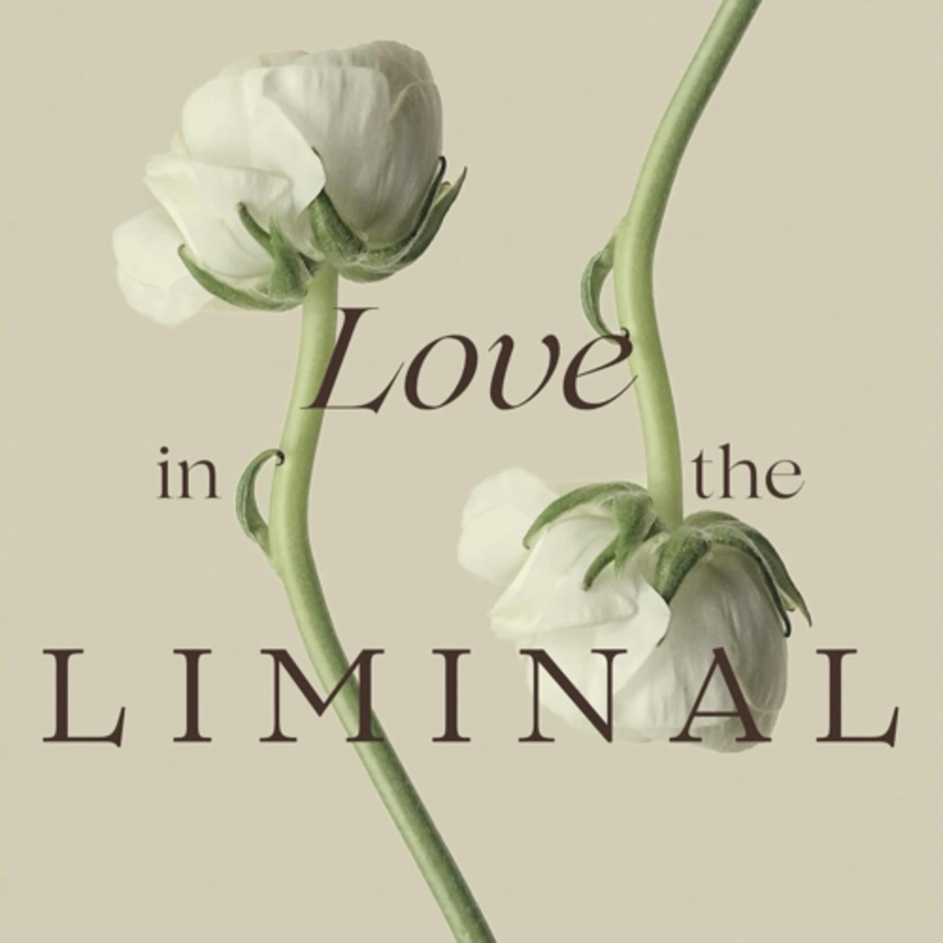Love in the Liminal - Podcasts
