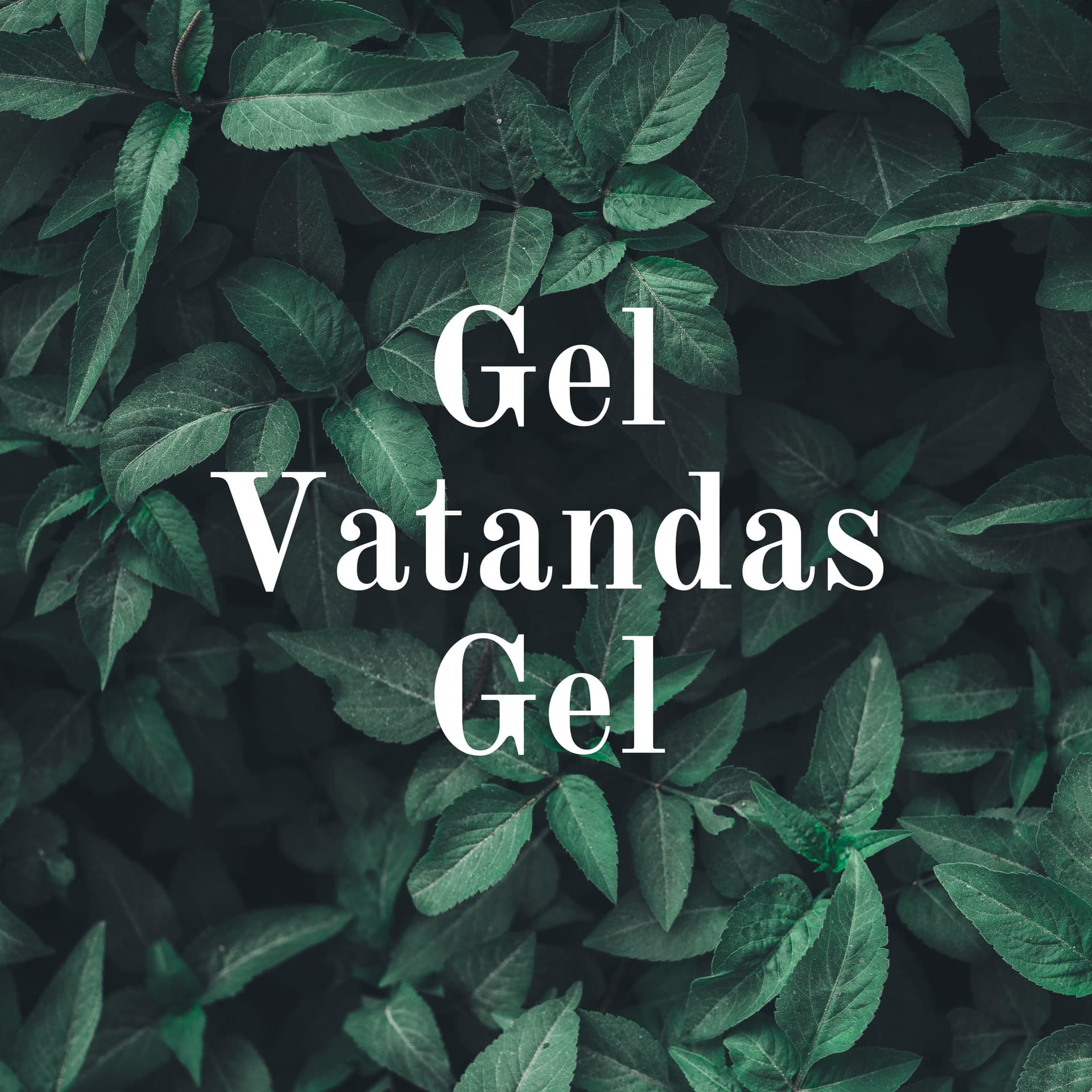 Gel Vatandas Gel