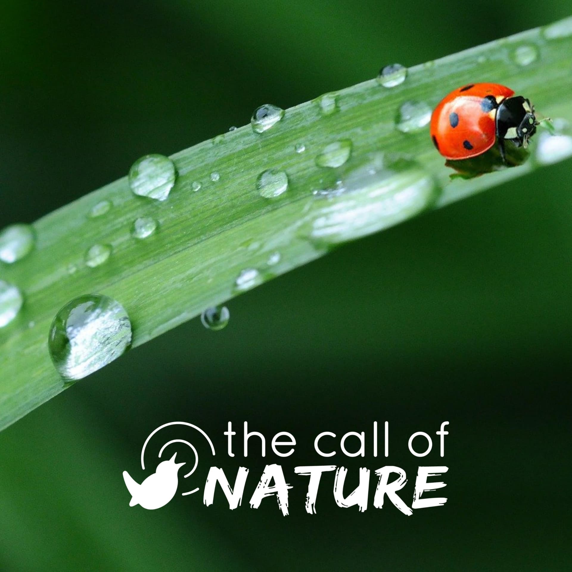 The Call Of Nature - Podcasts