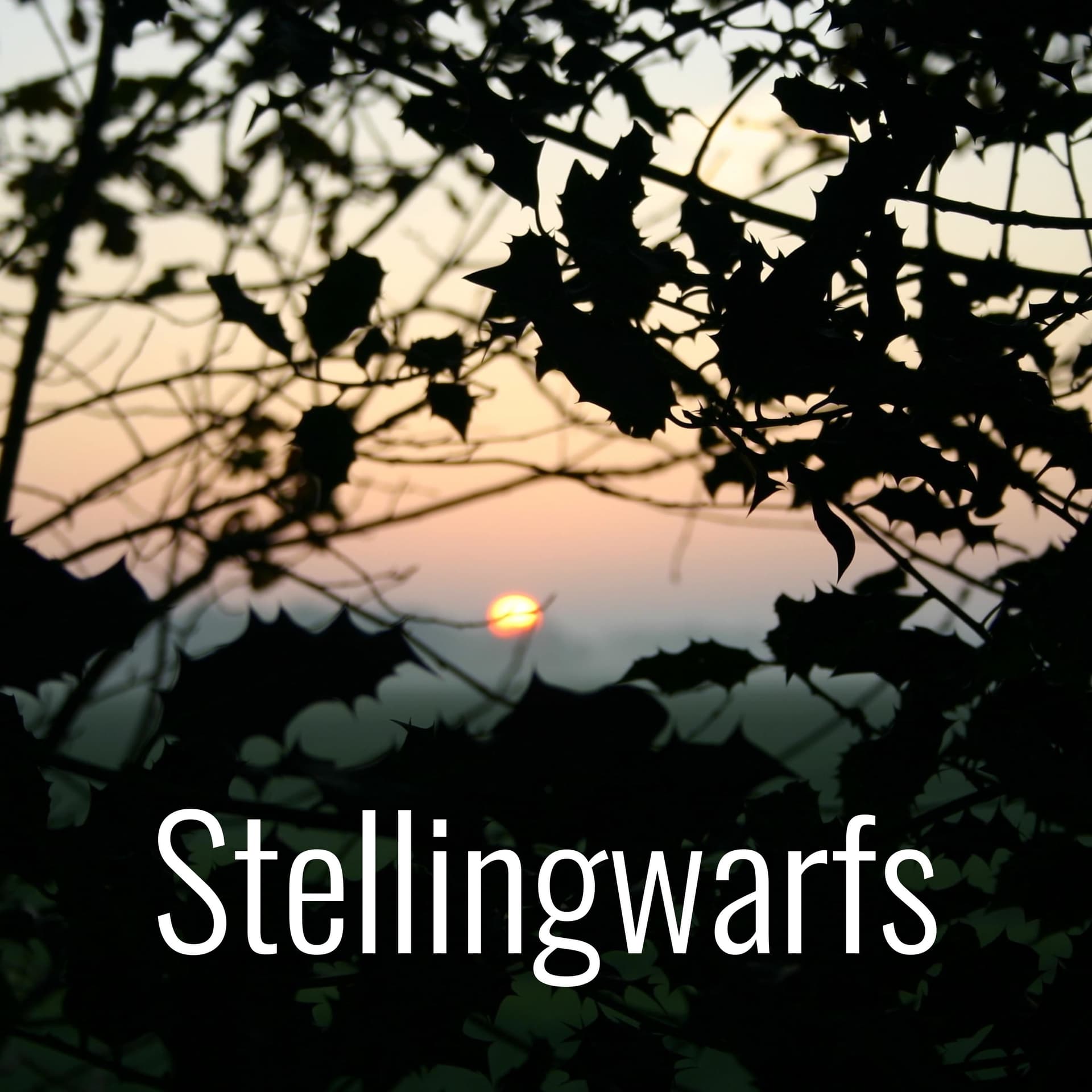Stellingwarfs - Podcasts