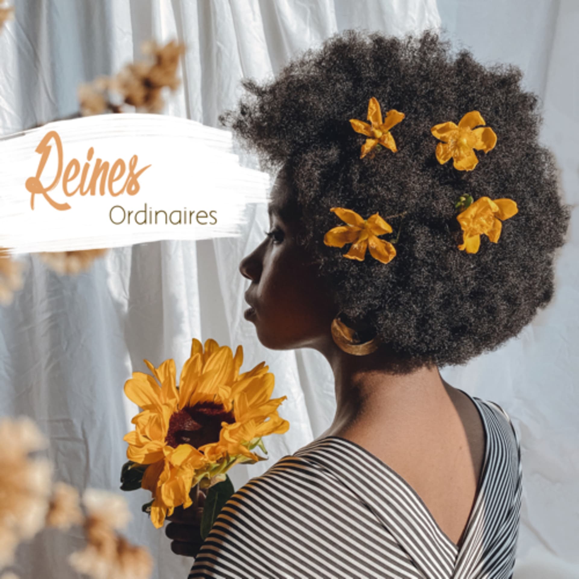 Reines Ordinaires - Podcasts