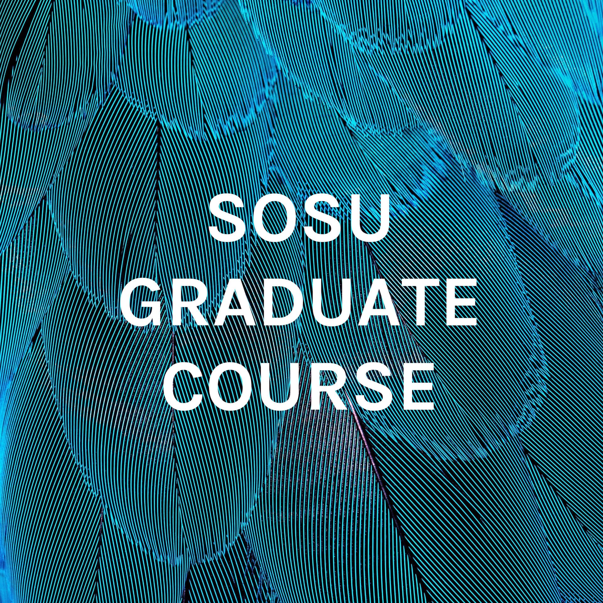 SOSU GRADUATE COURSE - MANAGEMENT PODCAST - Podcasts