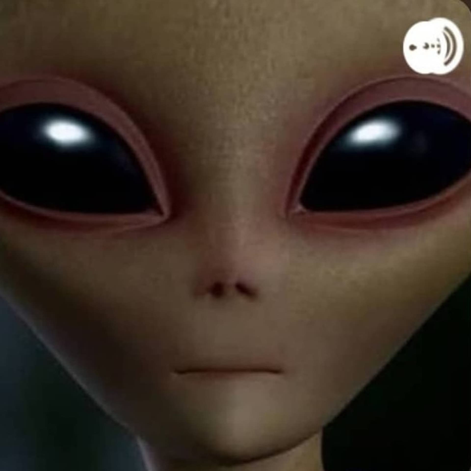 Curiosidades Do Céu 🛸👽Instagram @maracuriosidadesdoceu1 - Podcast