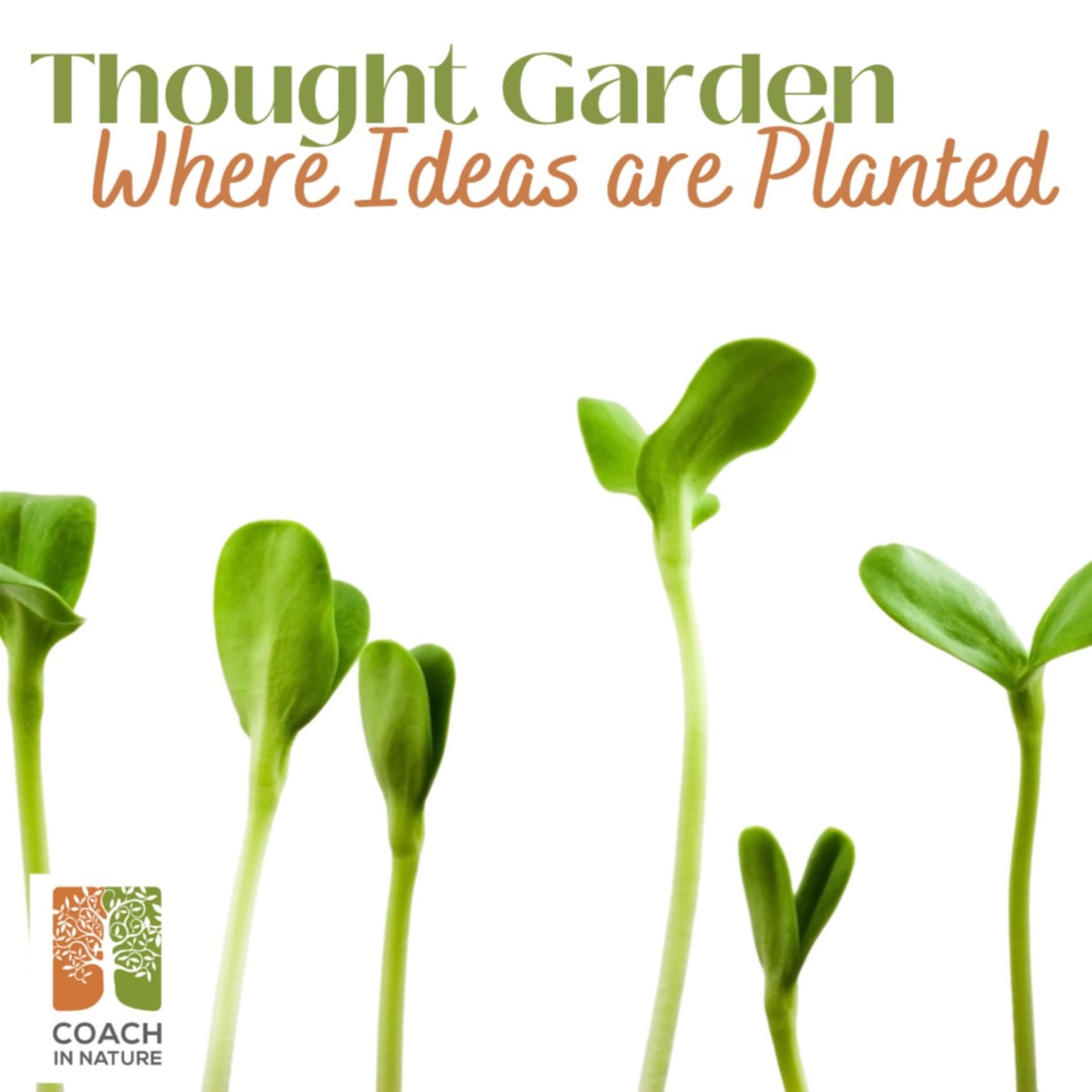 Thought Garden - Personal Growth In Nature - Podcasts