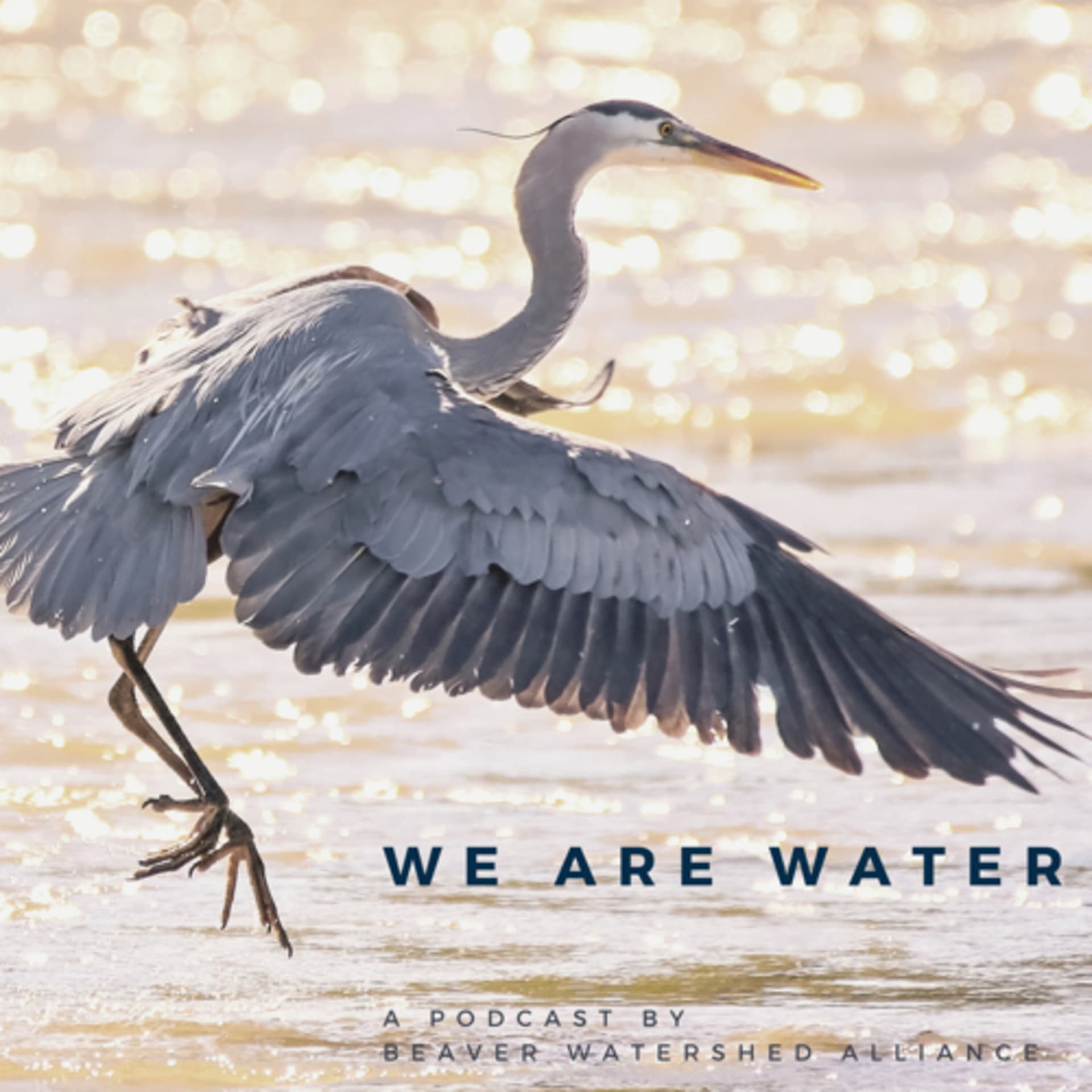 We Are Water - Podcasts