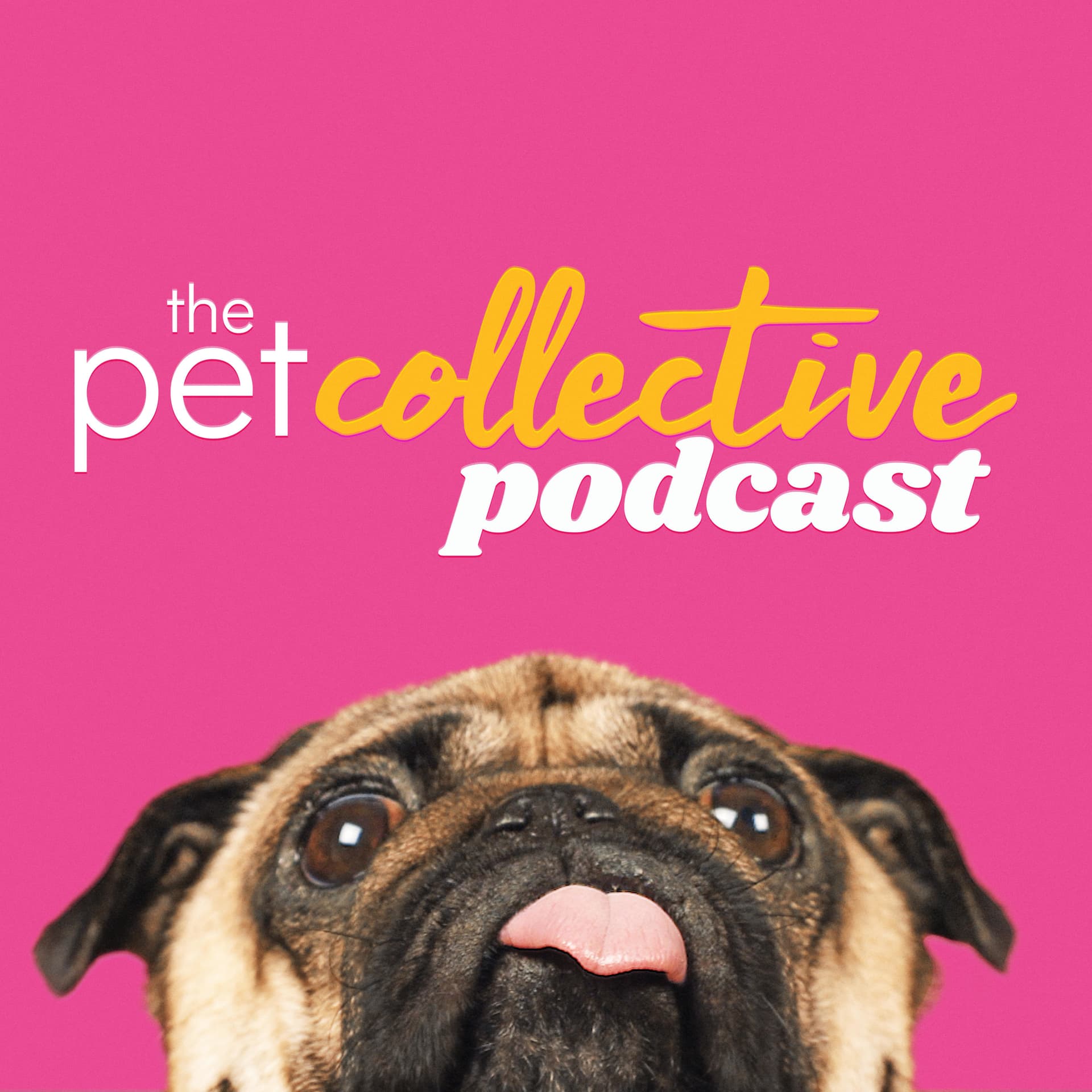 The Pet Collective Podcast - Podcasts