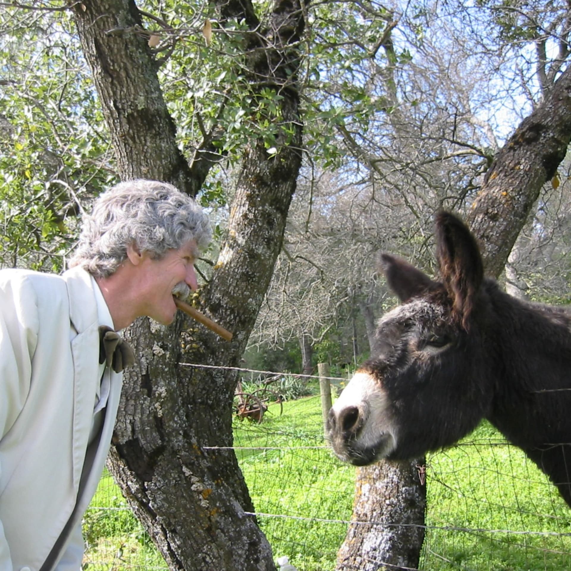 What Would Mark Twain Say? - Podcasts