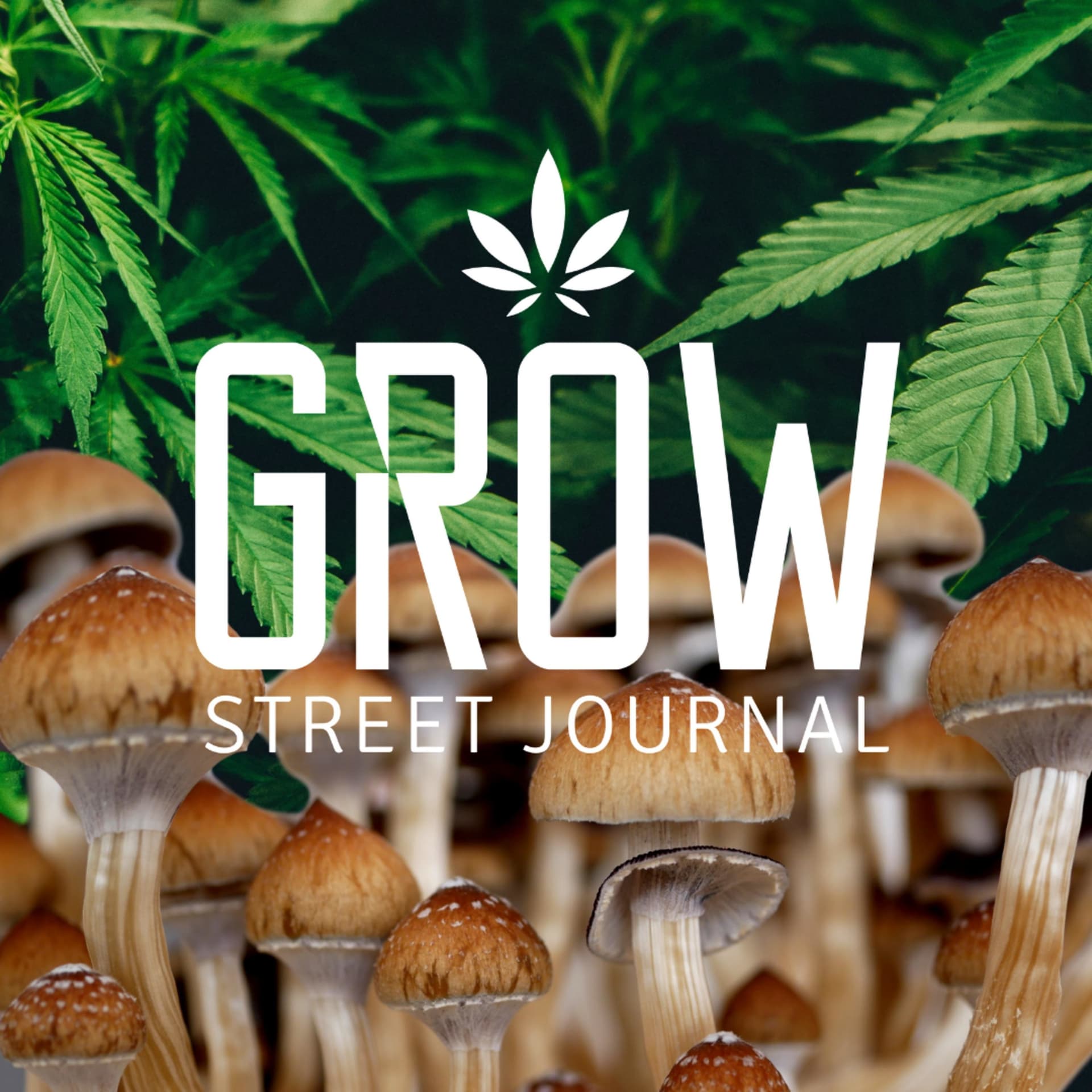 Grow Street Journal - Podcasts