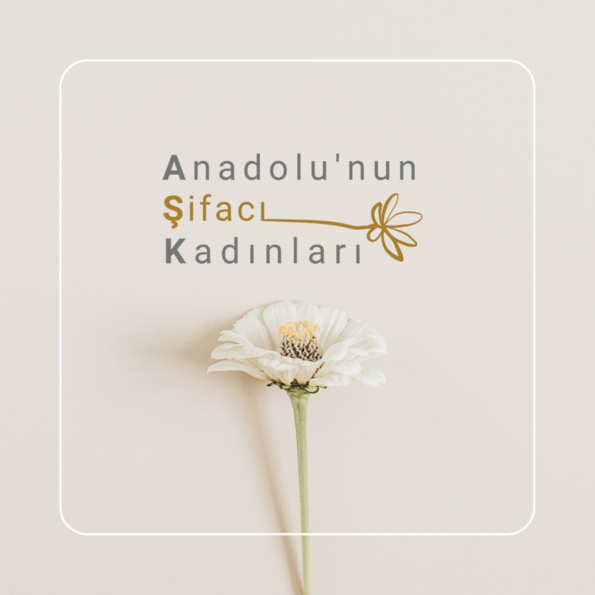 Anadolu'nun Şifacı Kadınları - Podcastler