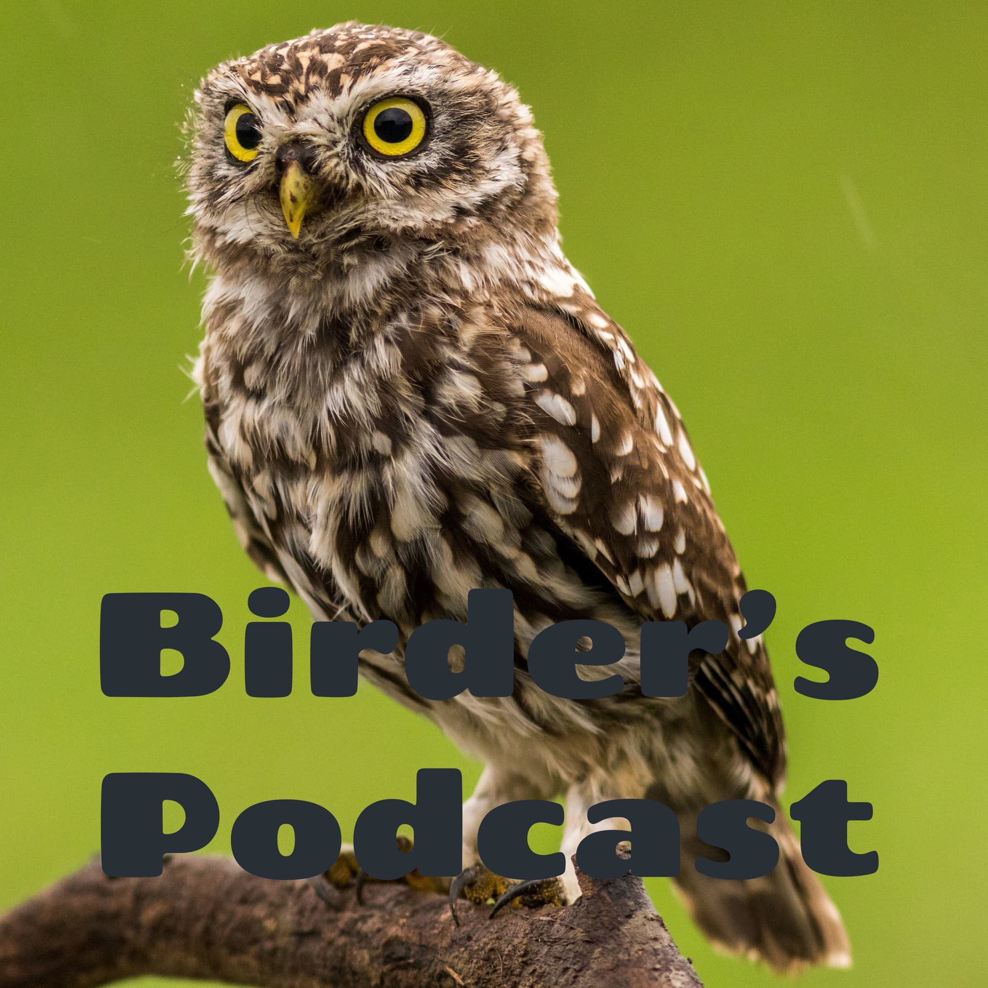 Birder's Podcast - Podcasts