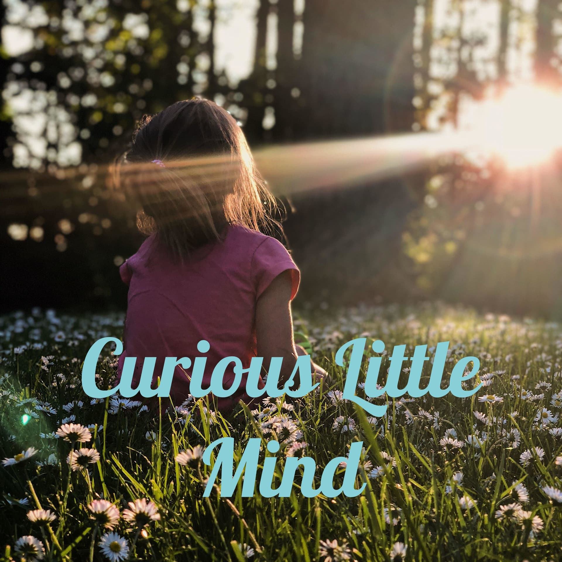 Curious Little Mind - Podcasts