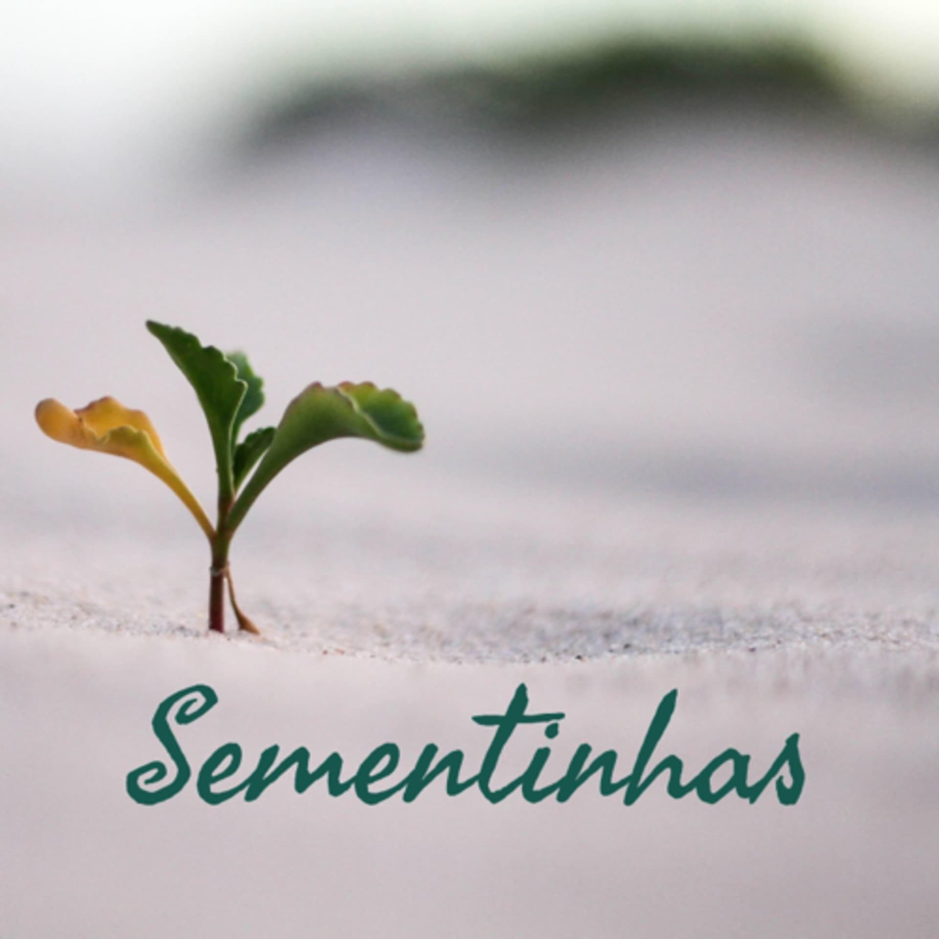 Sementinhas - Podcasts