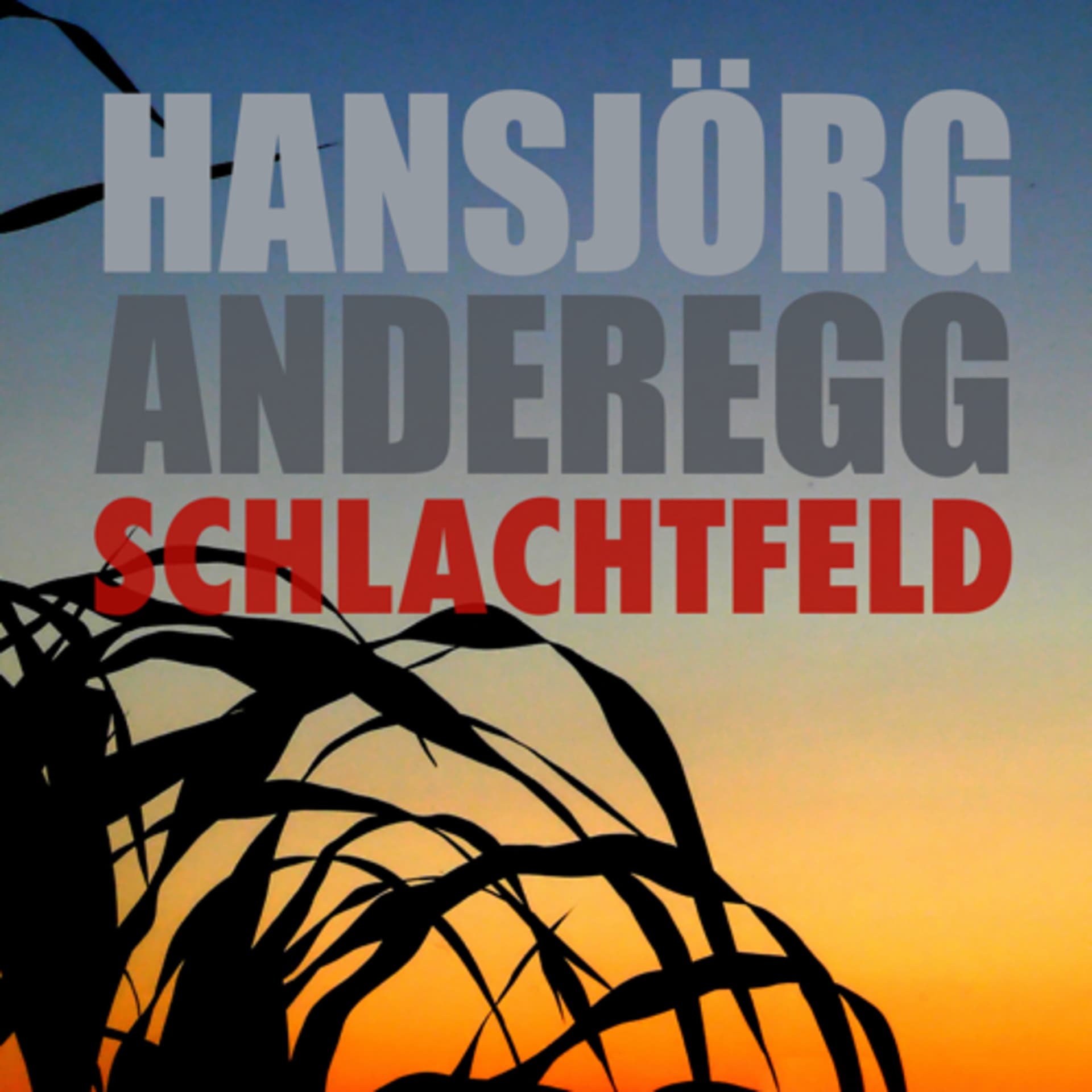 Schlachtfeld, Thriller von Hansjörg Anderegg - Podcasts