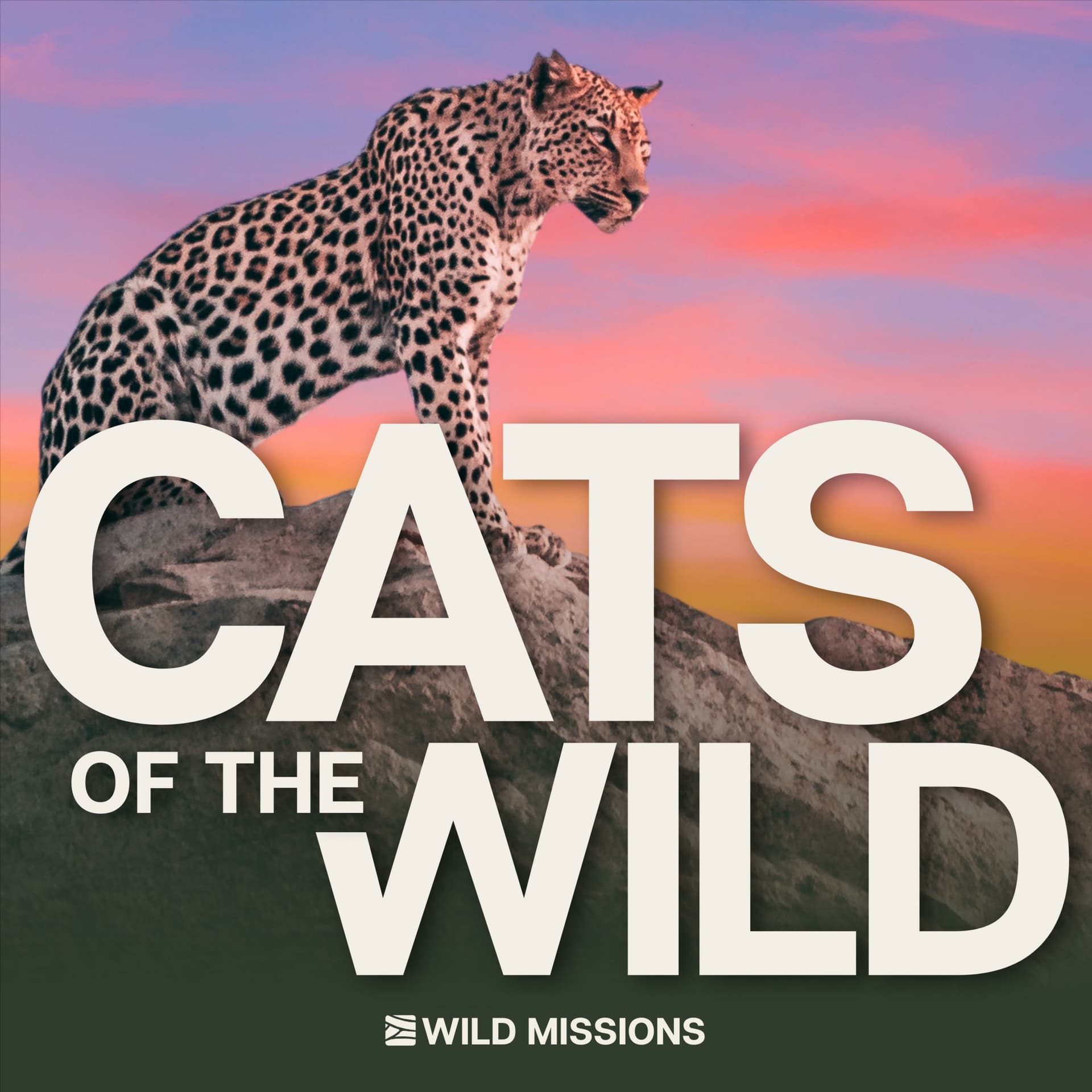 Cats of the Wild - Podcast