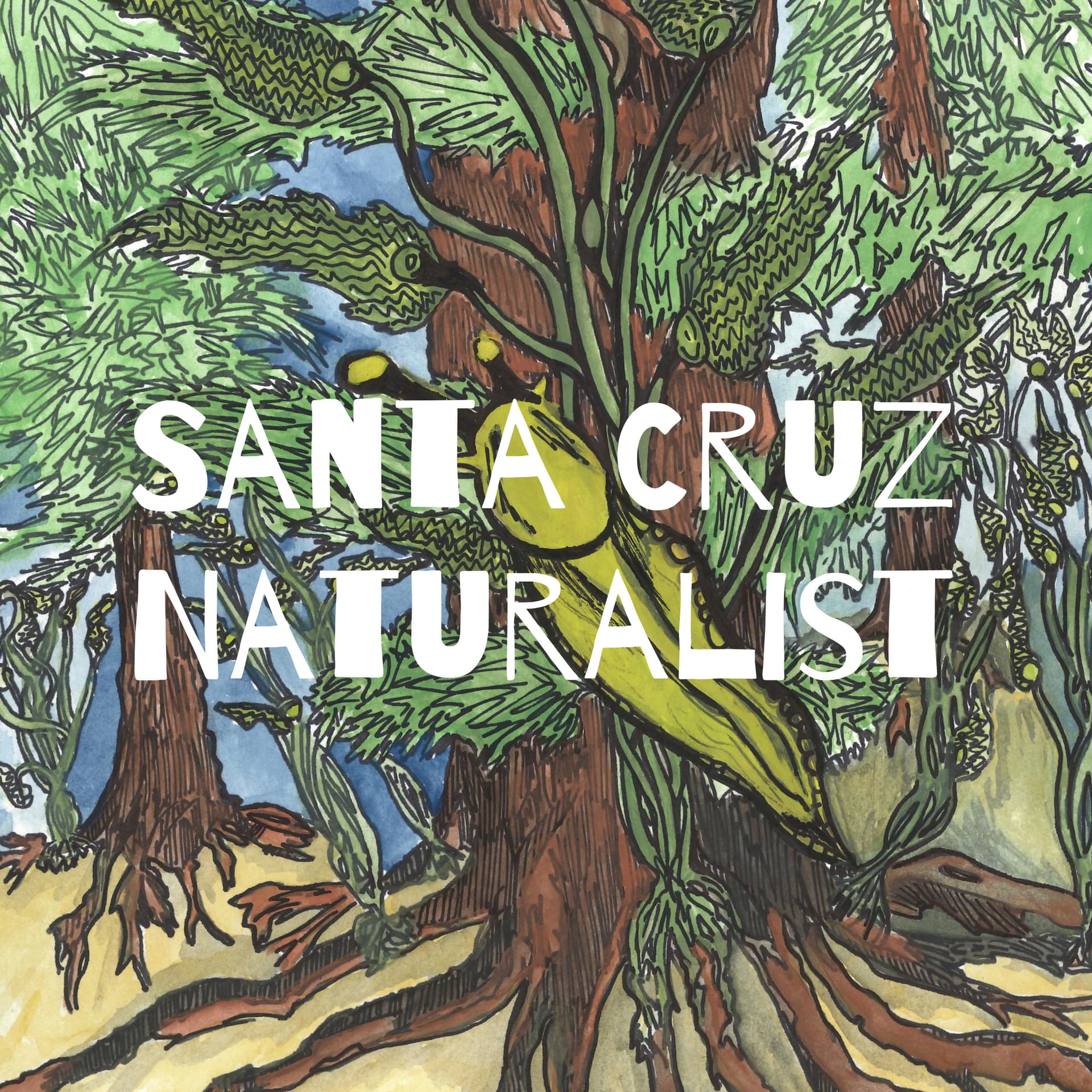 Central Coast Naturalist - Podcasts