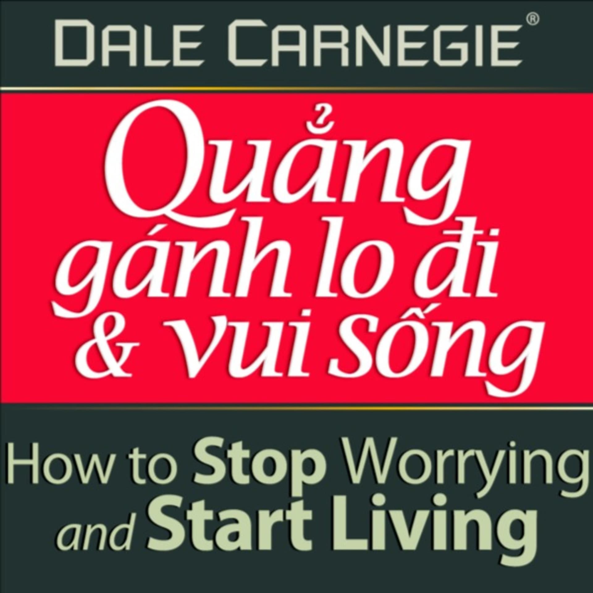 Quẳng Gánh Lo Đi Và Vui Sống (Bản FULL Sách nói hay tại Voiz.vn) - Podcasts