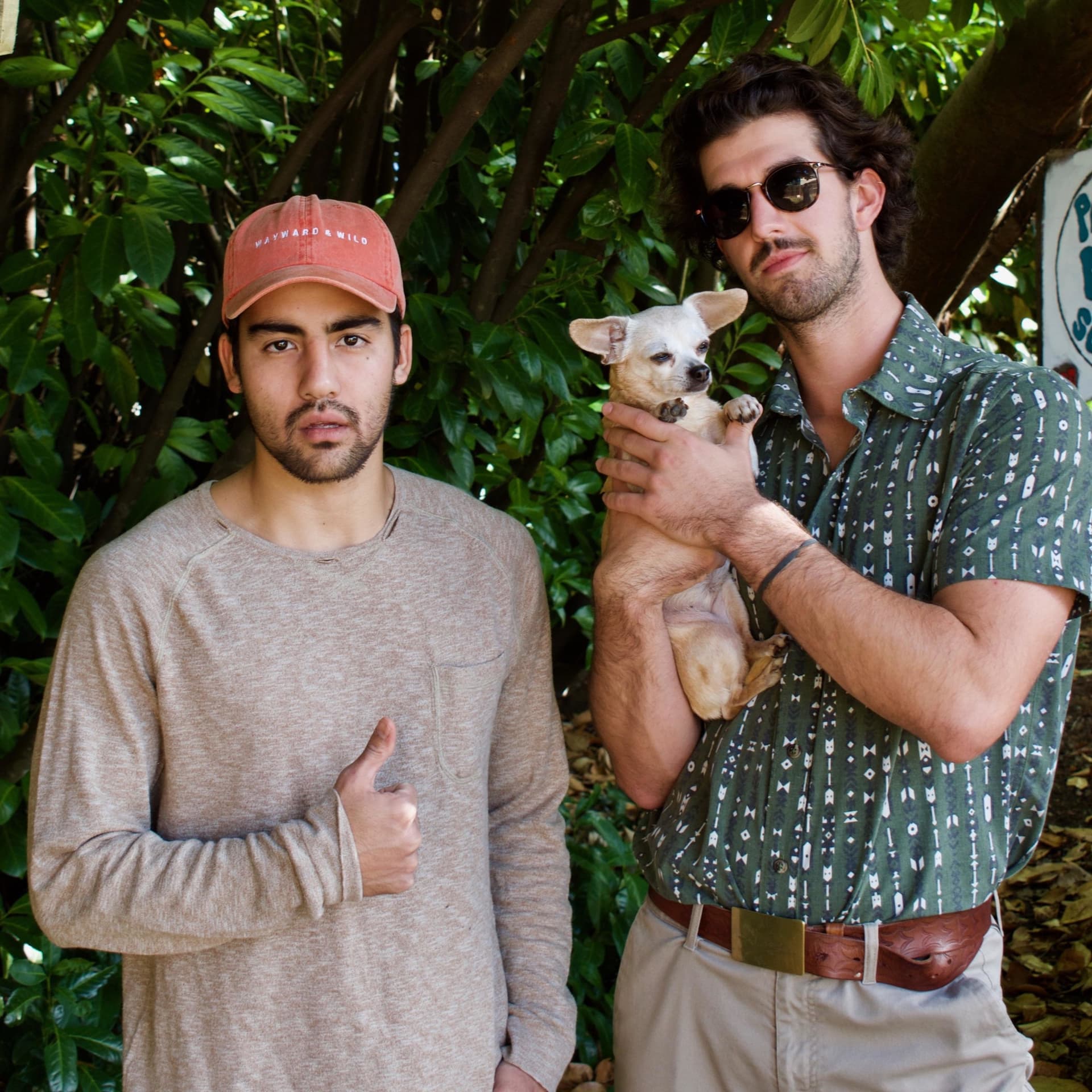 Two Guys, One Lapdog - Podcast