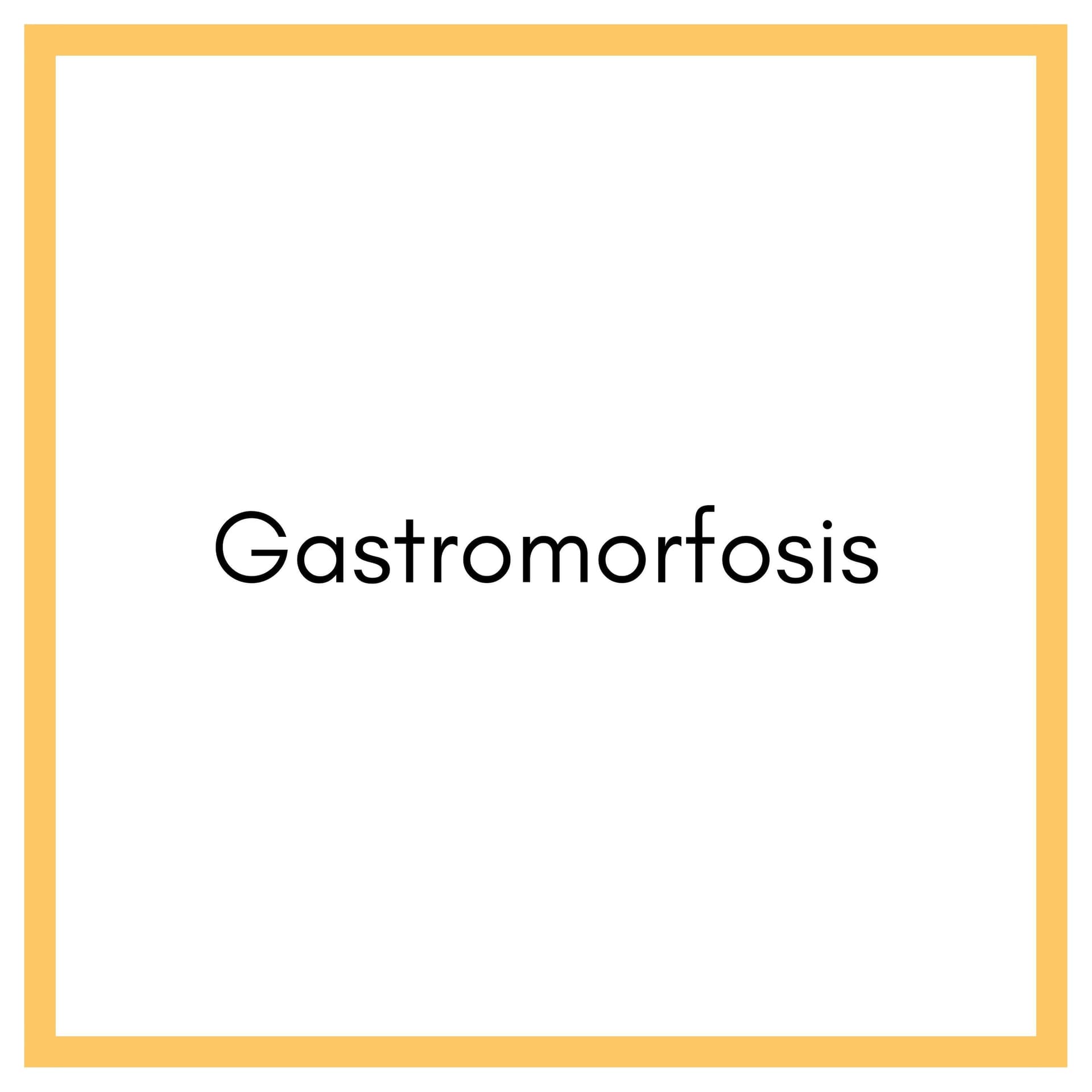 Gastromorfosis