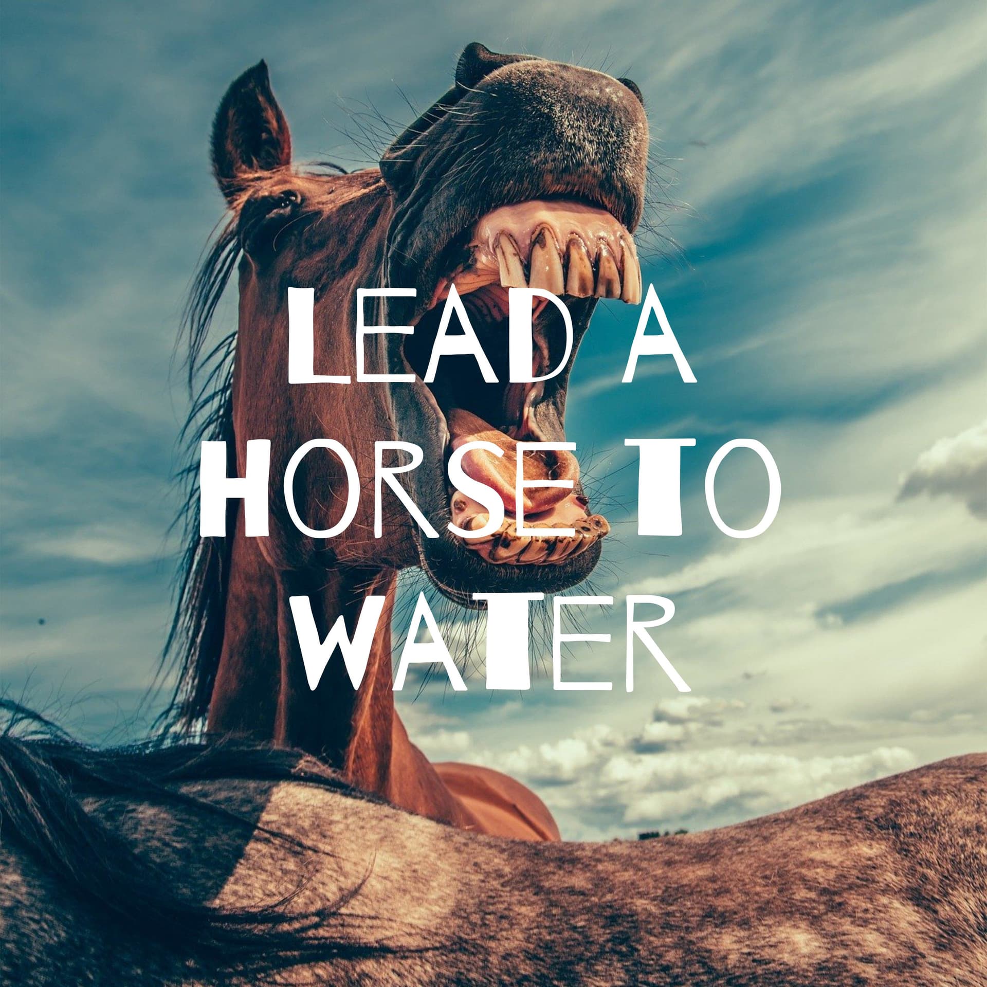 Lead a Horse to Water - Podcasts
