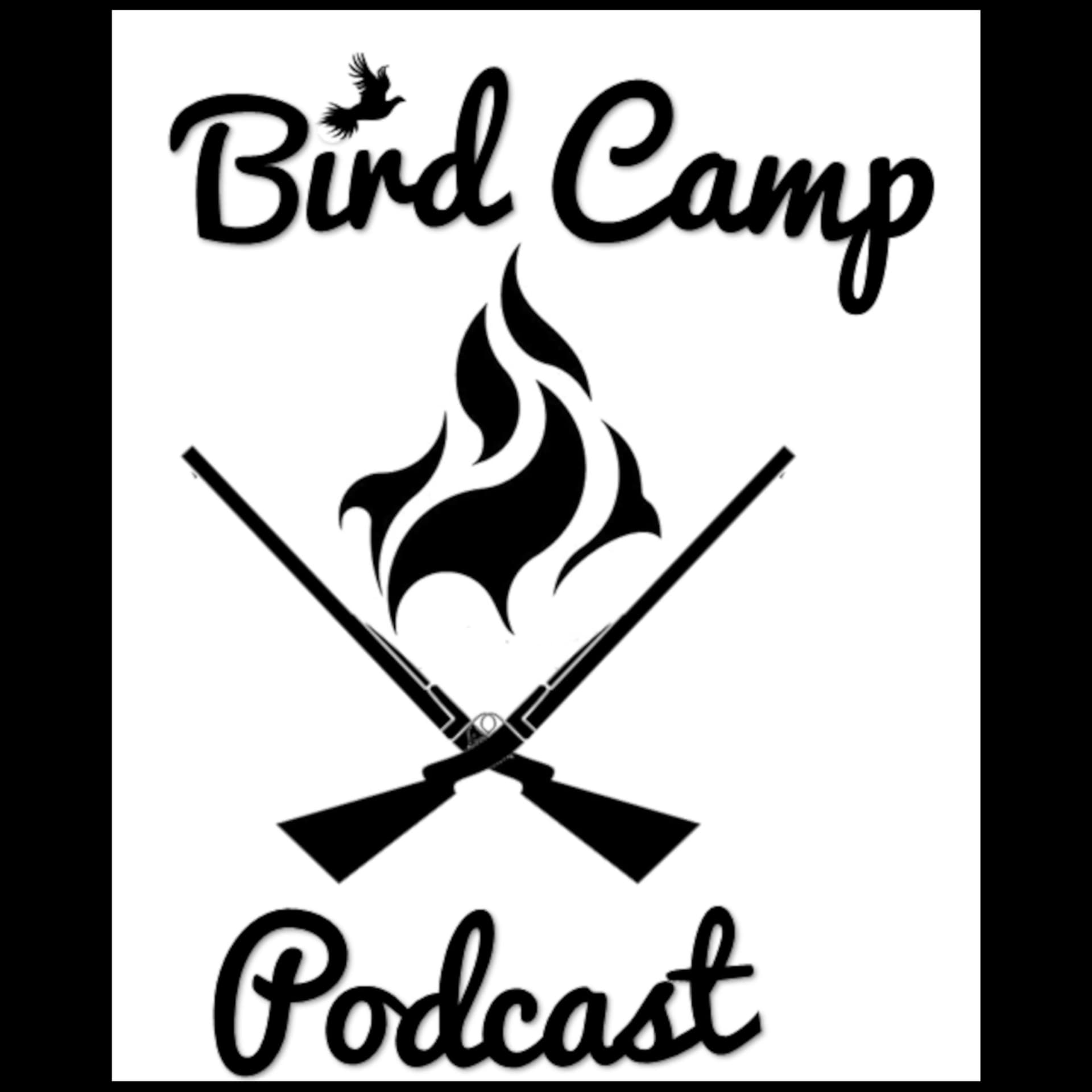 Bird Camp - Podcasts