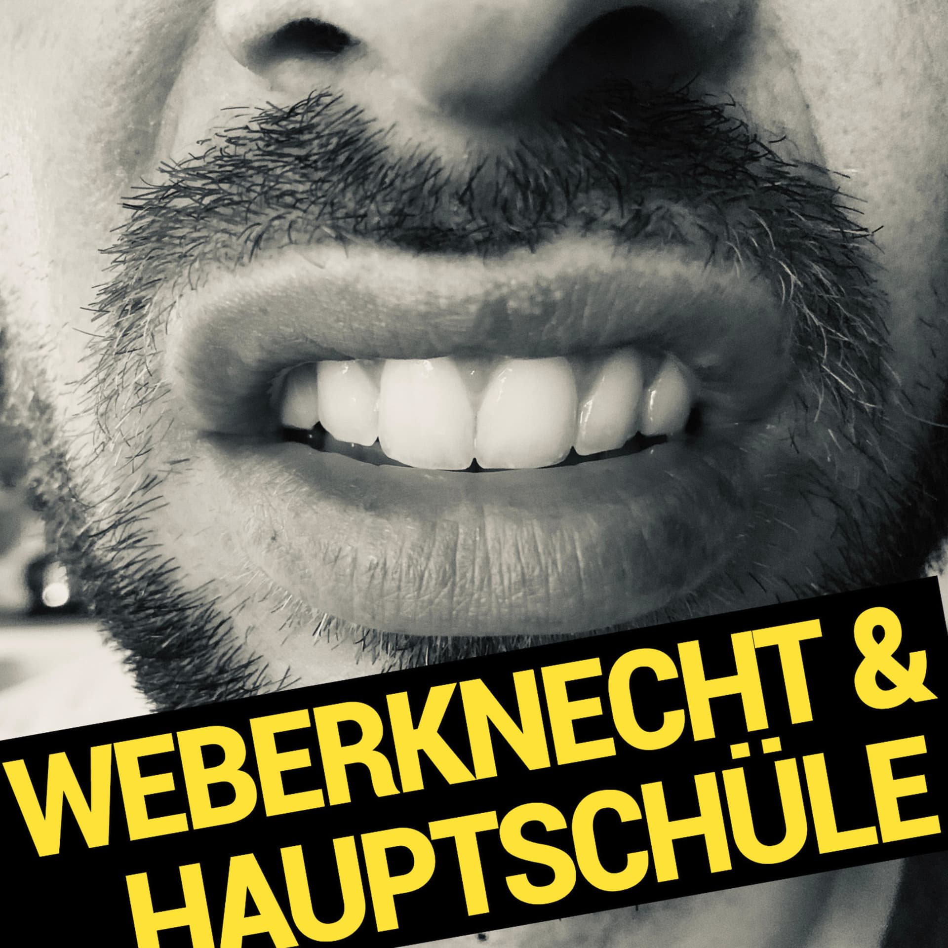 Weberknecht & Hauptschüle - Podcasts