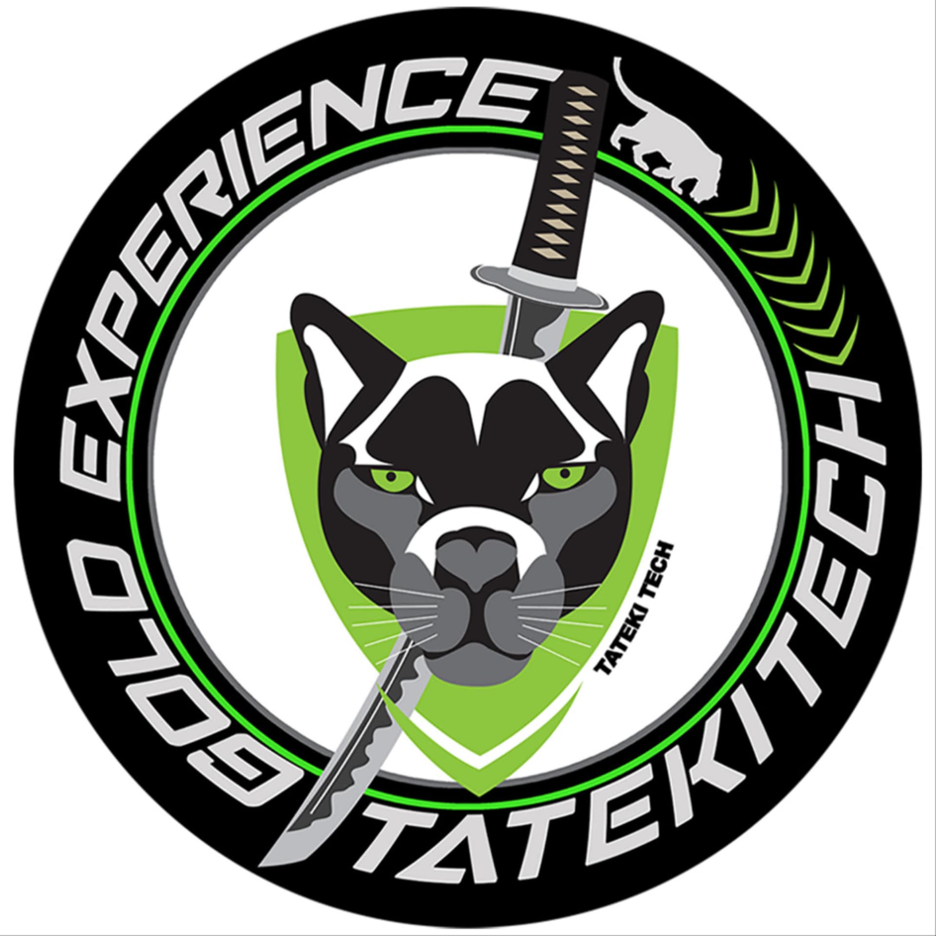 干城の黄金の経験 Gold Experience Tateki Tech - ポッドキャスト