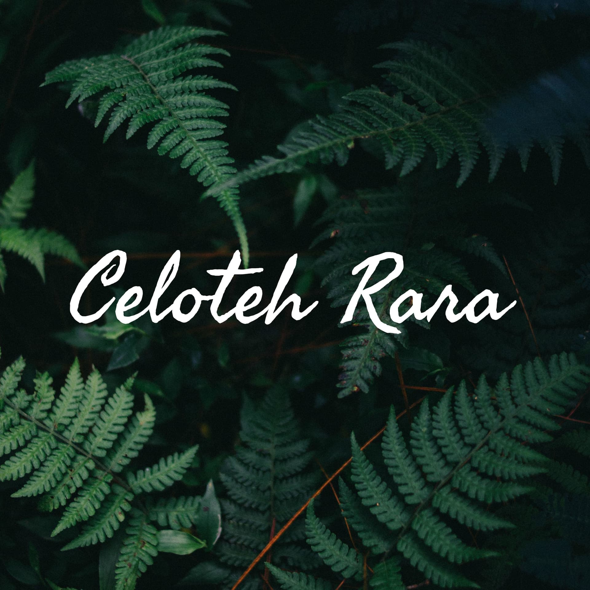 Celoteh Rara - Podcasts