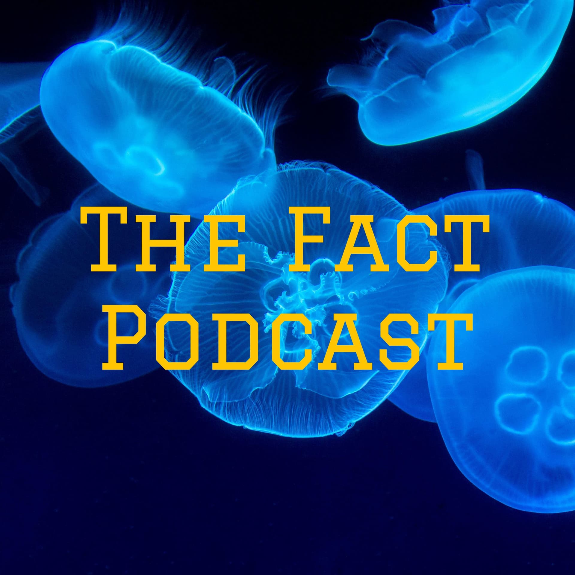 The Fact Podcast