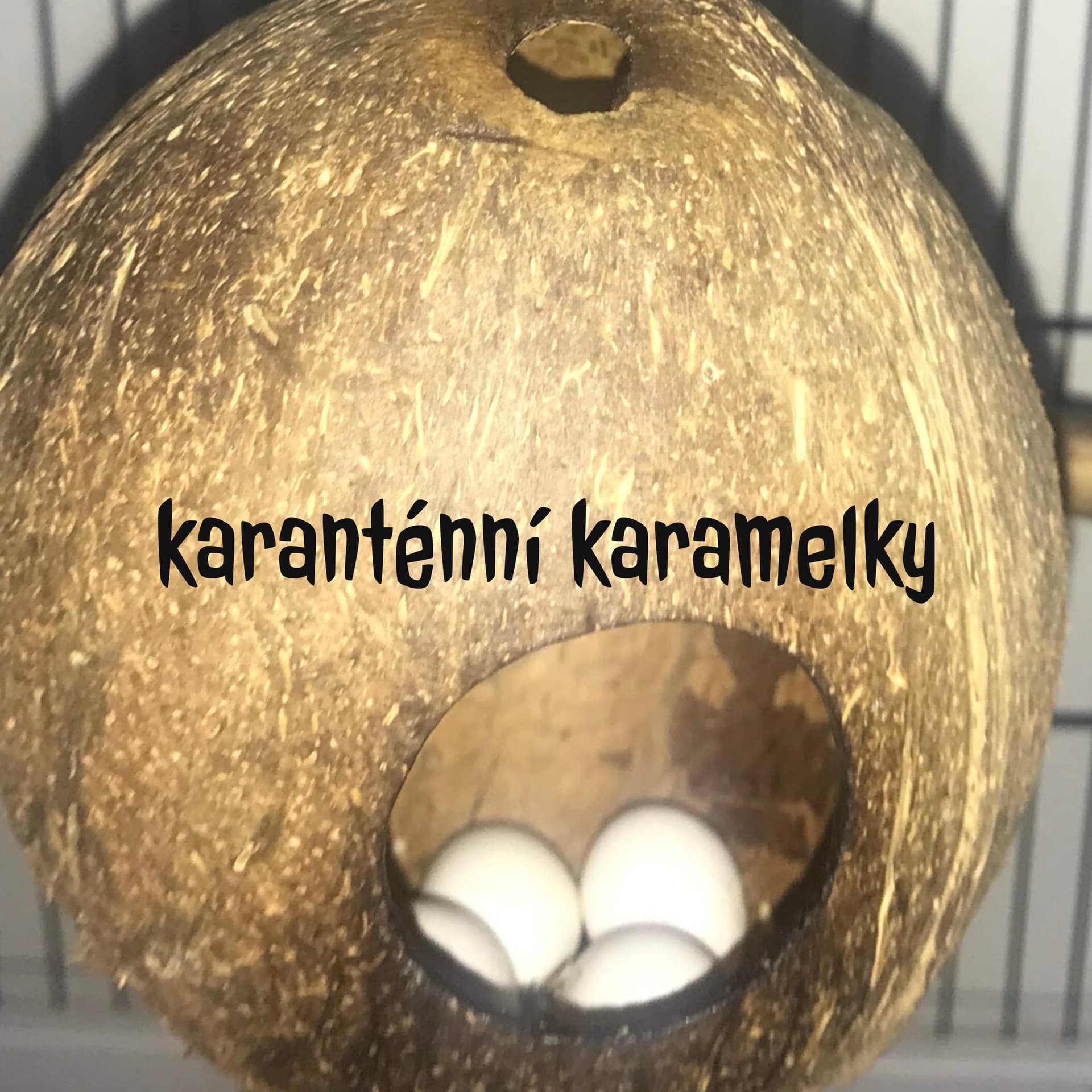 karanténní karamelky - Petr Turecký & Jana TureckáPODKÁST, V NĚMŽ OTÁZKY ZŮSTÁVAJÍ NEZODPOVĚZENY - Podcasts