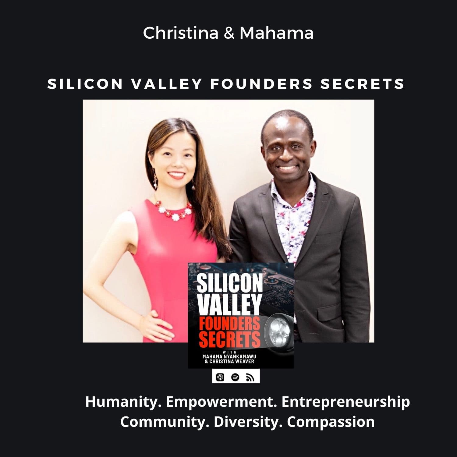 Silicon Valley Founders Secrets - Podcasts