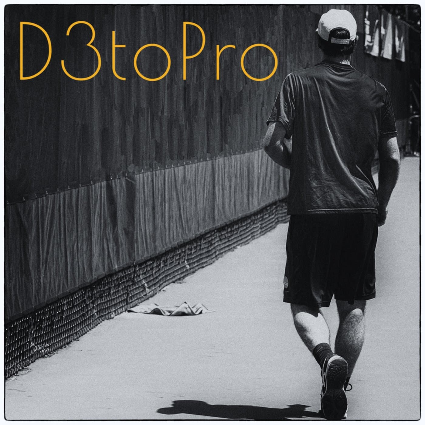 D3toPro - Podcasts