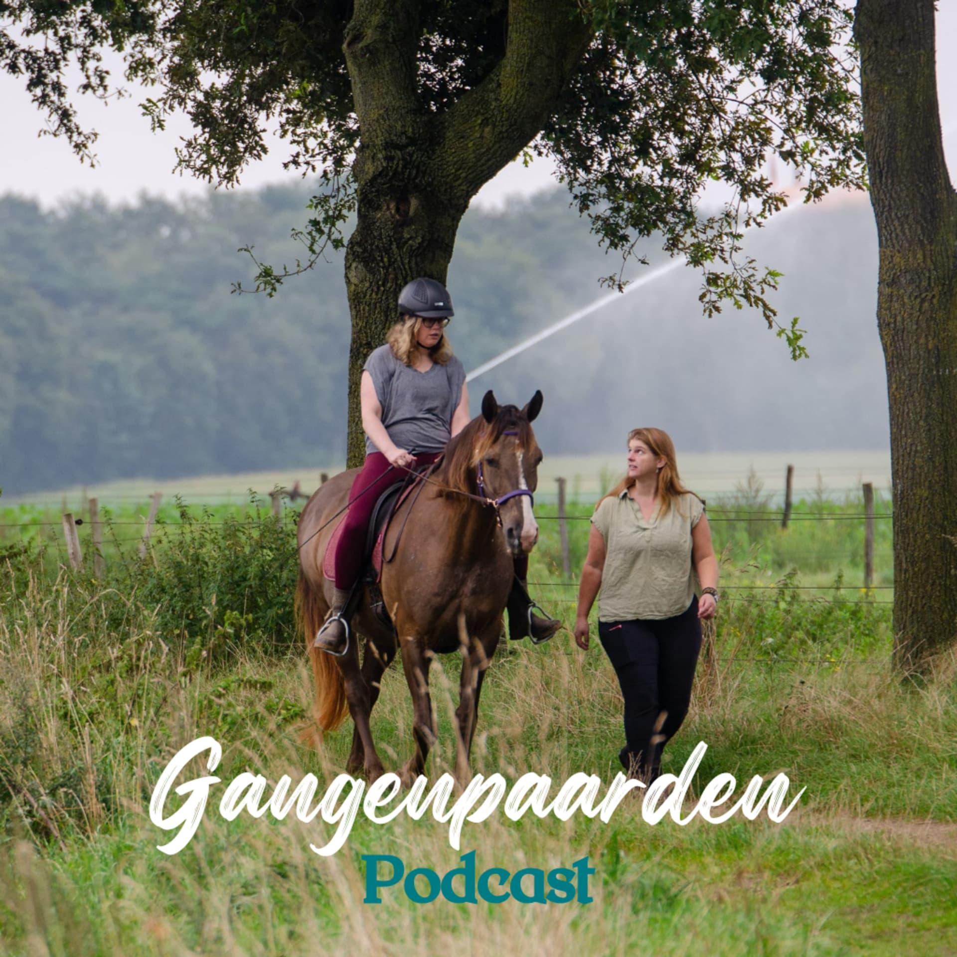 De Gangenpaarden Podcast - Podcast