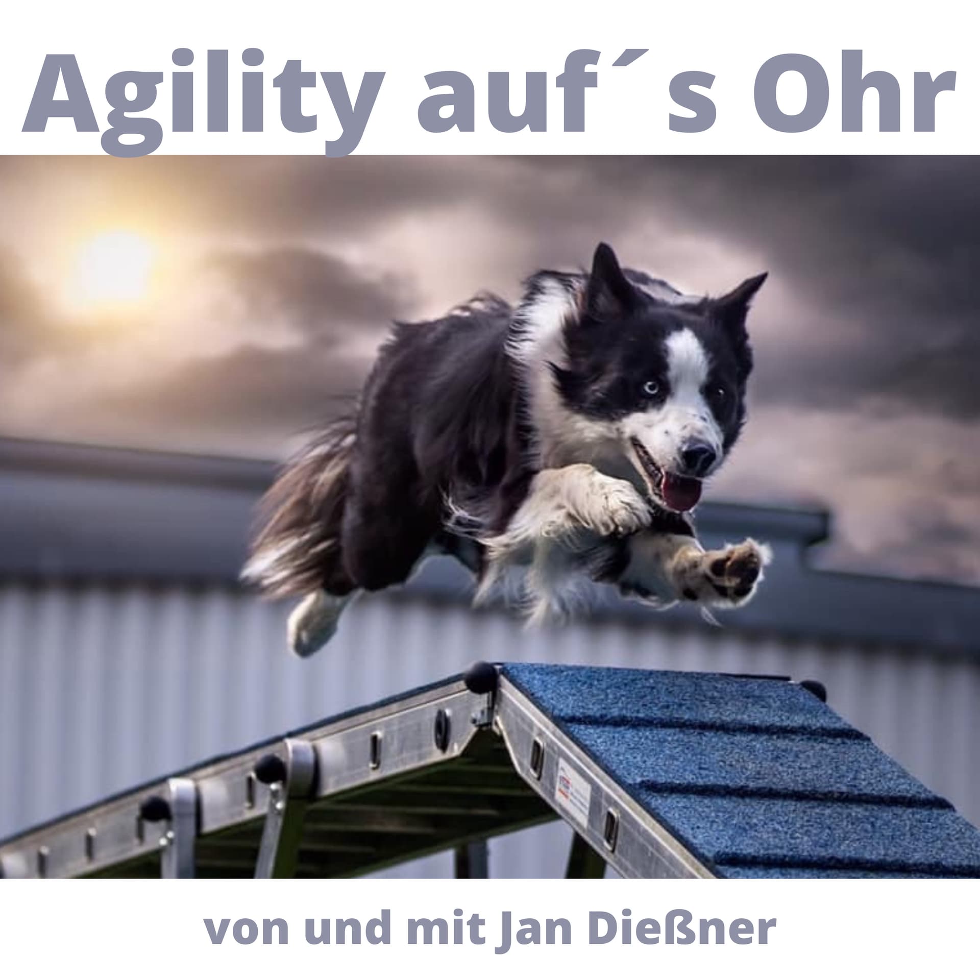 Agility auf´s Ohr - Podcasts
