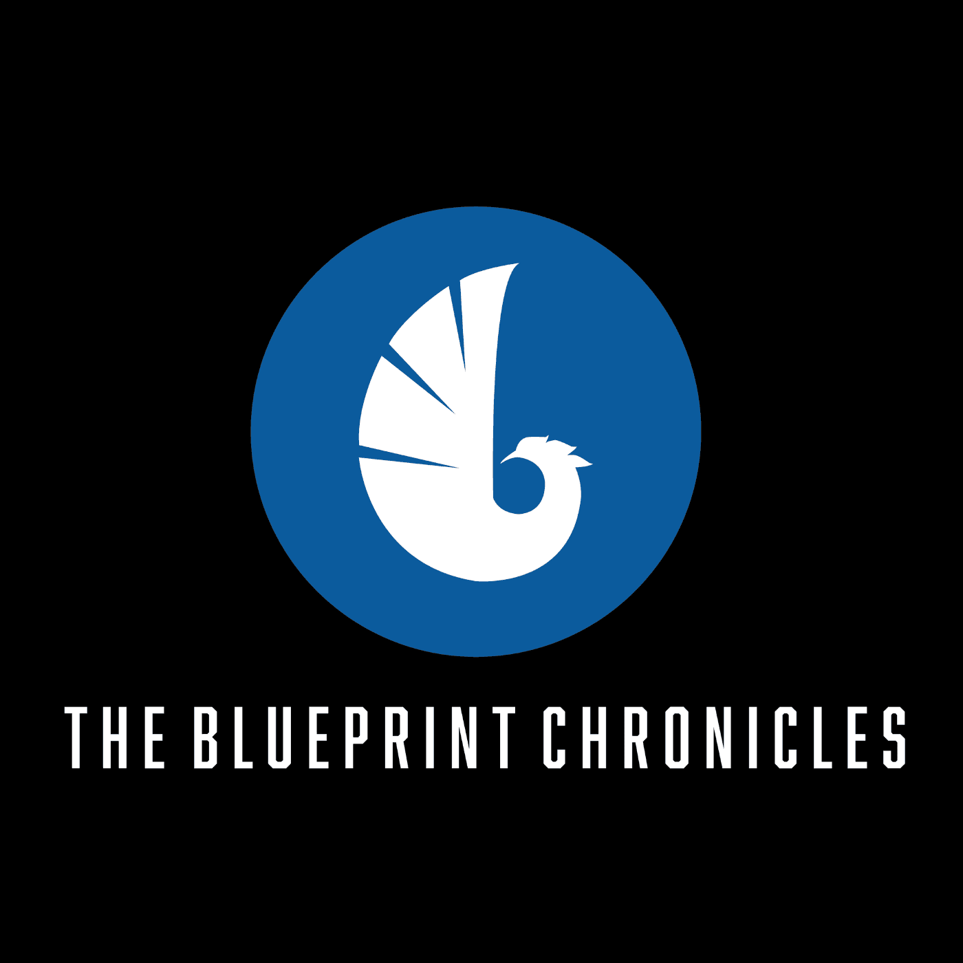 The Blueprint Chronicles - Podcasts