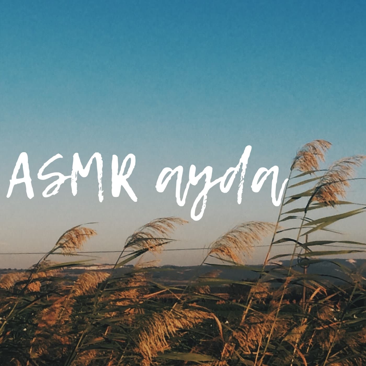 ASMR ayda - Podcastler