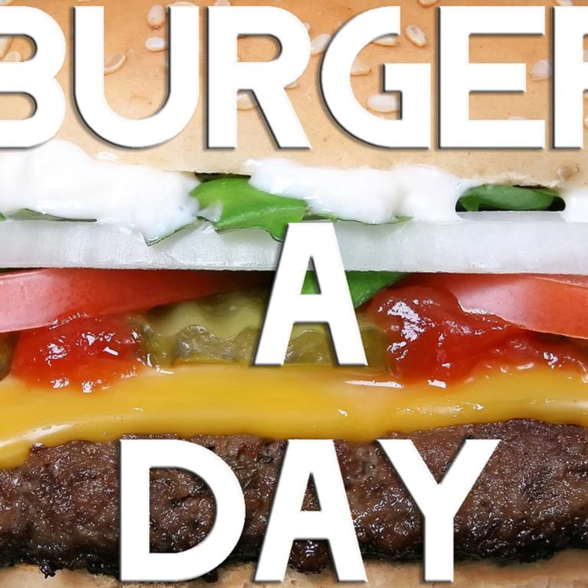 Burger-A-Day Podcast - Podcasts