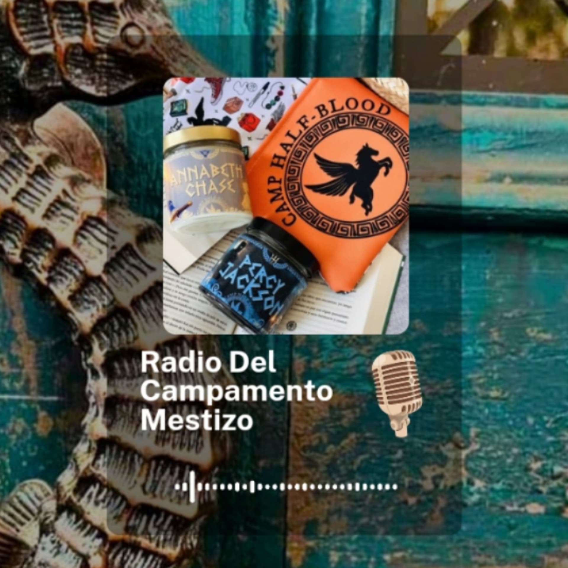 Radio Del Campamento Mestizo - Podcasts