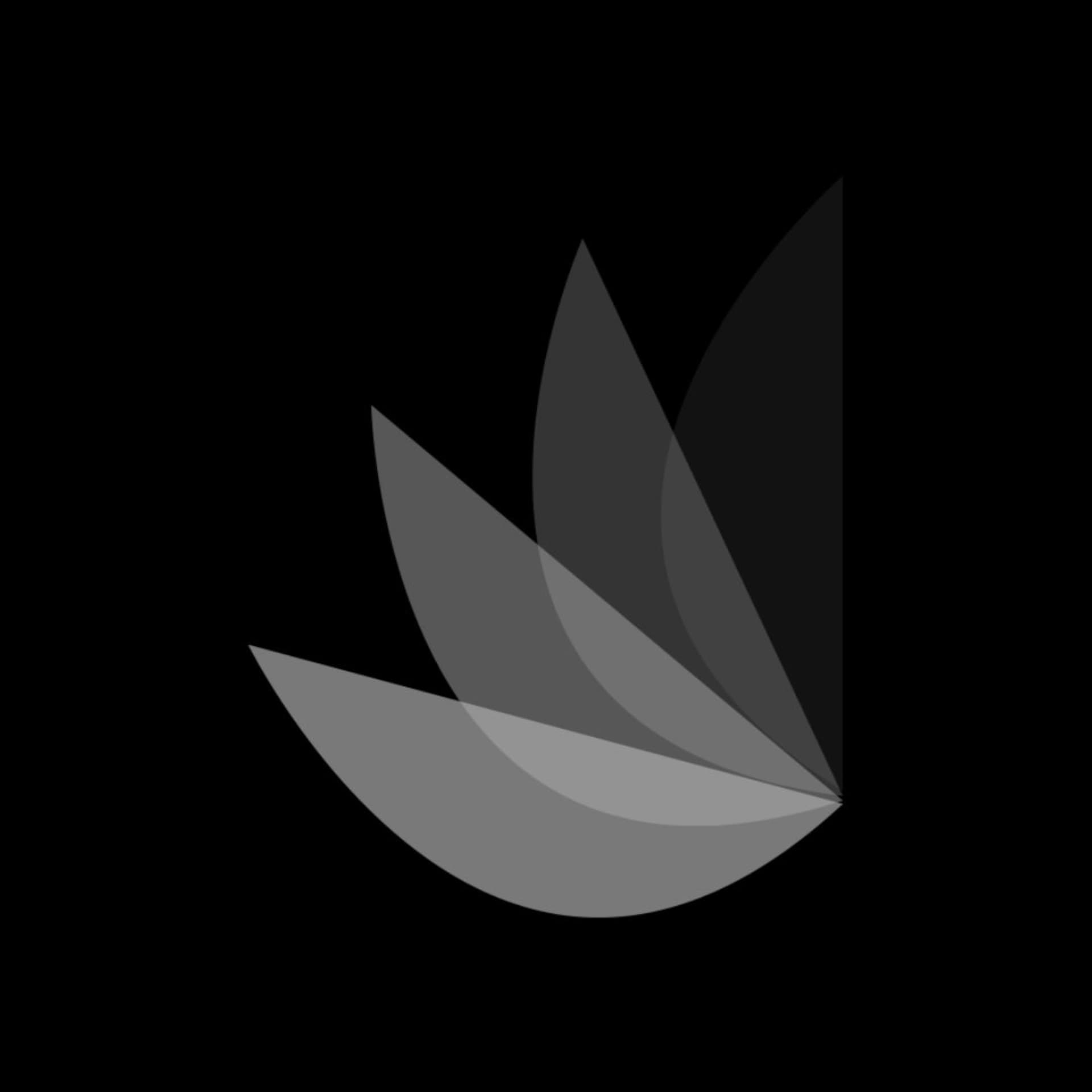 Dalia Talks - Podcasts