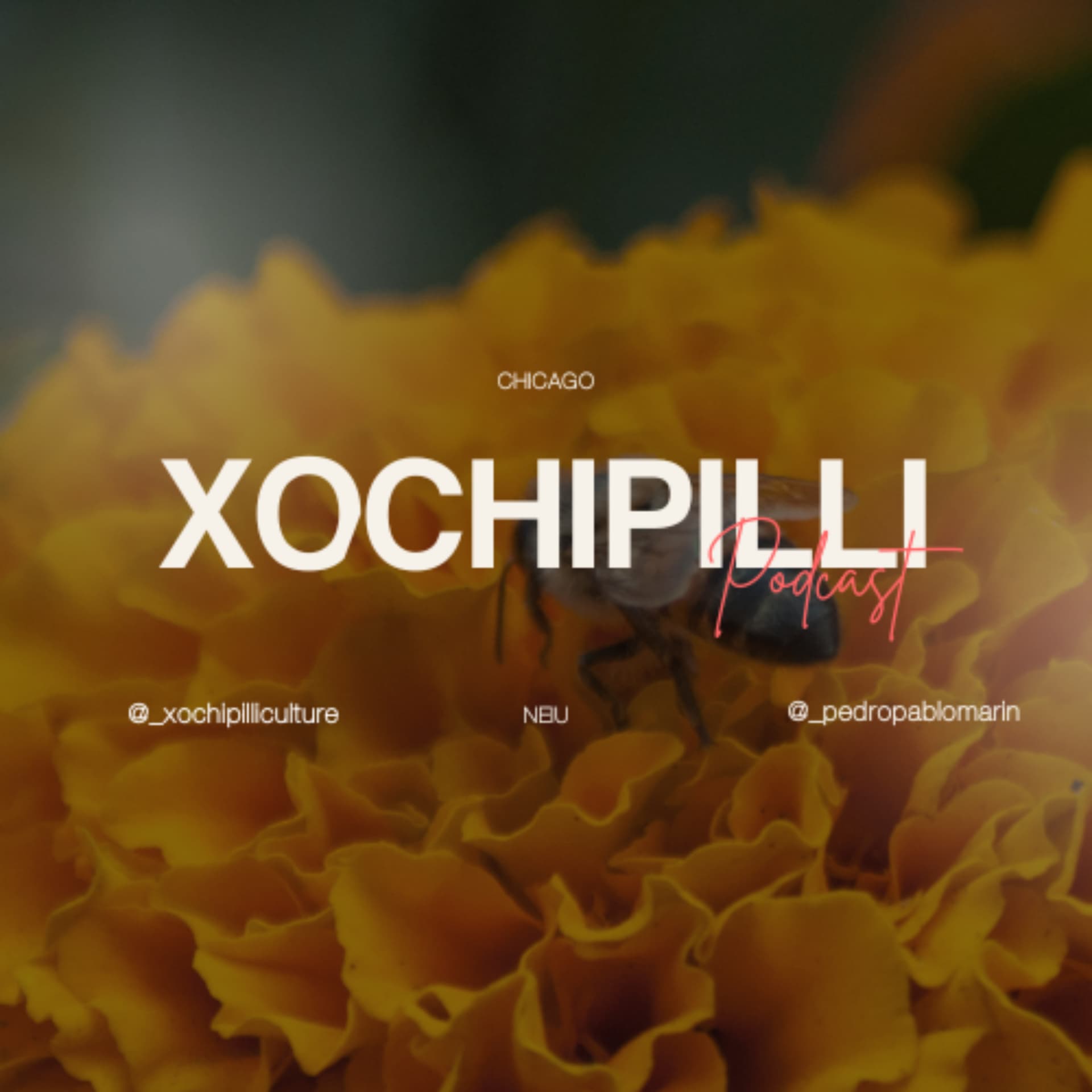 Xochipilli Podcast - Podcasts