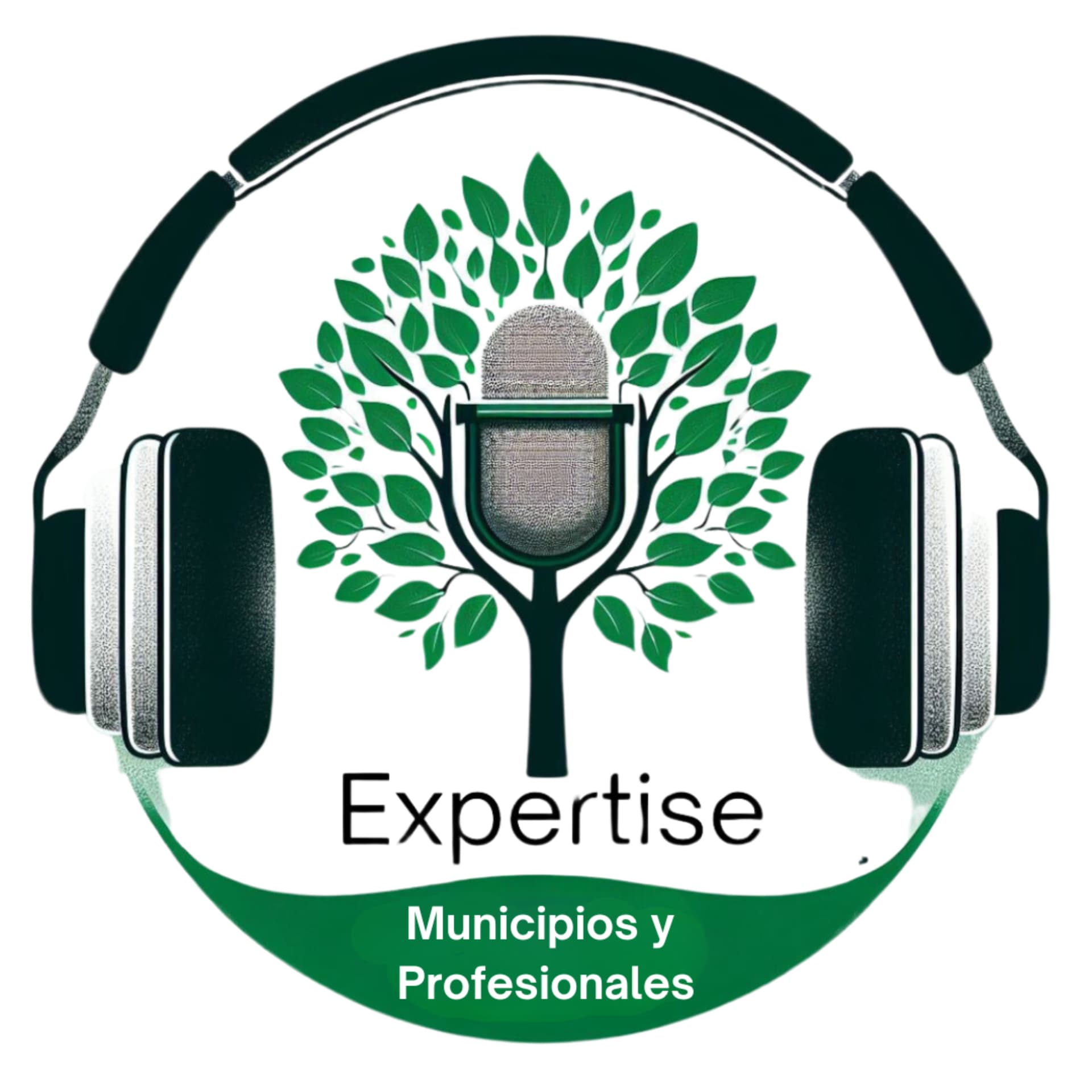 Expertise - Municipios y Profesionales - Podcast