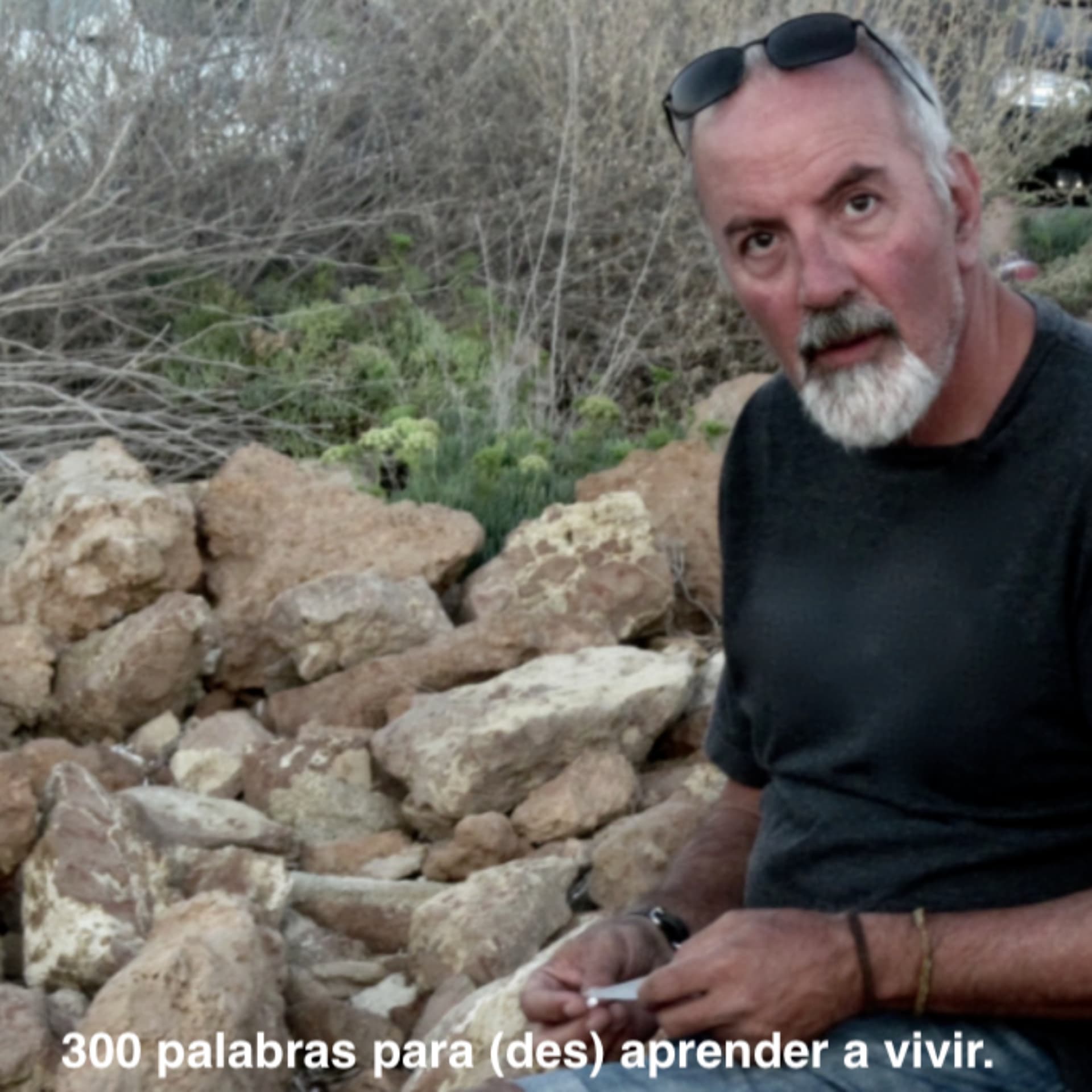 300 palabras para (des) aprender a vivir. - Podcasts