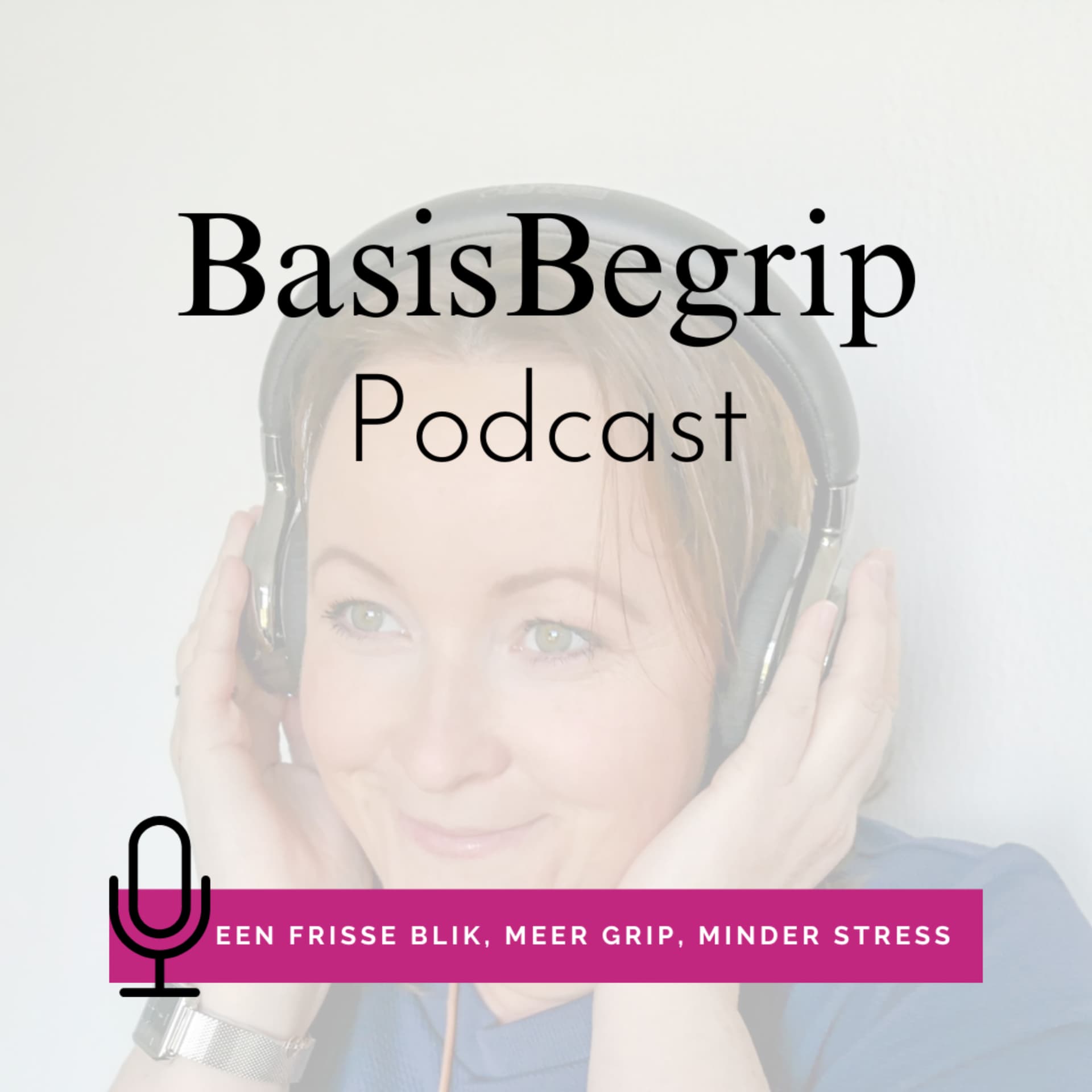BasisBegrip Podcast - Podcasts