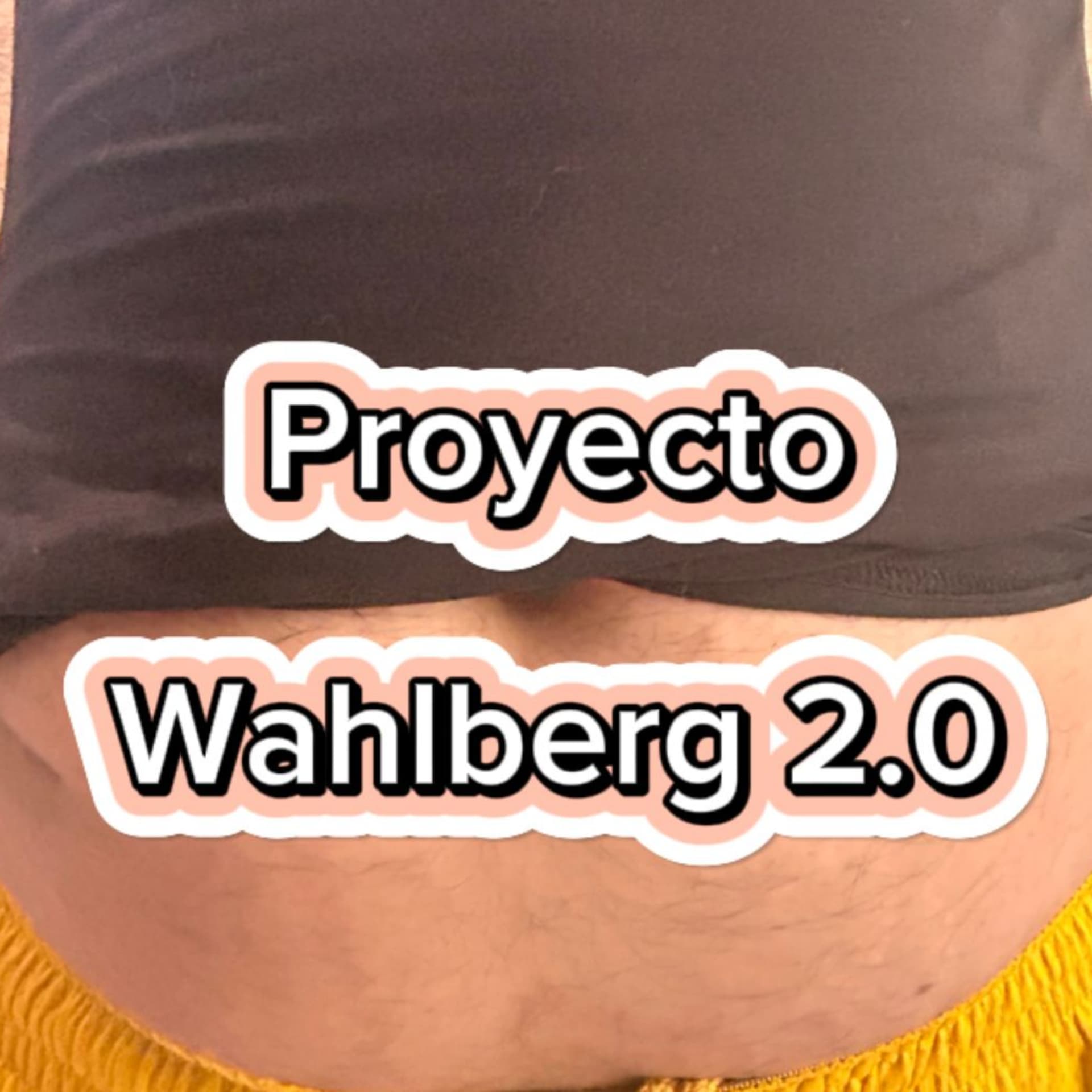 Proyecto Wahlberg