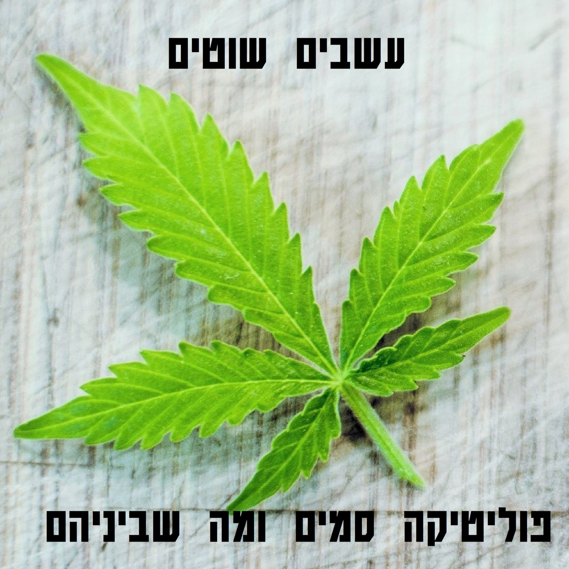 עשבים שוטים - Podcasts