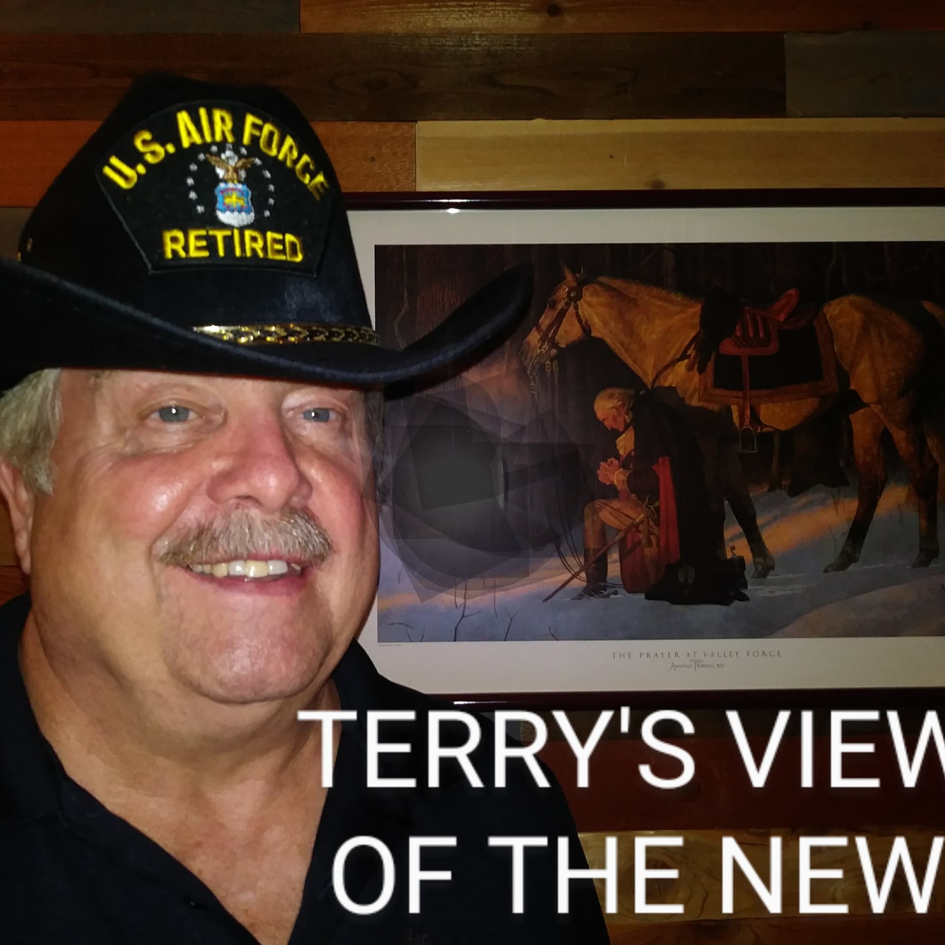 Terry’s Views of the News Podcast - Podcasts