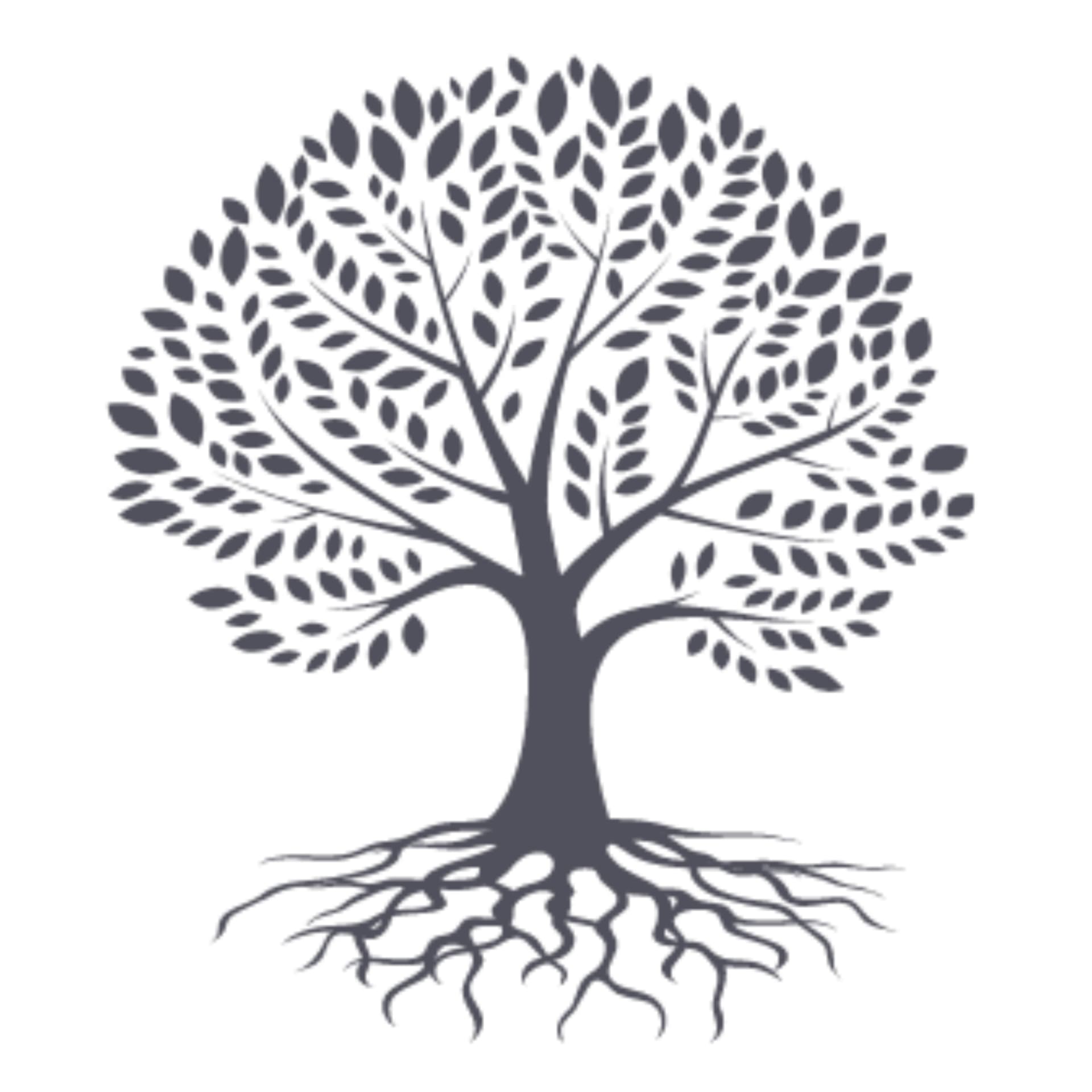 El Discipulado - Podcasts