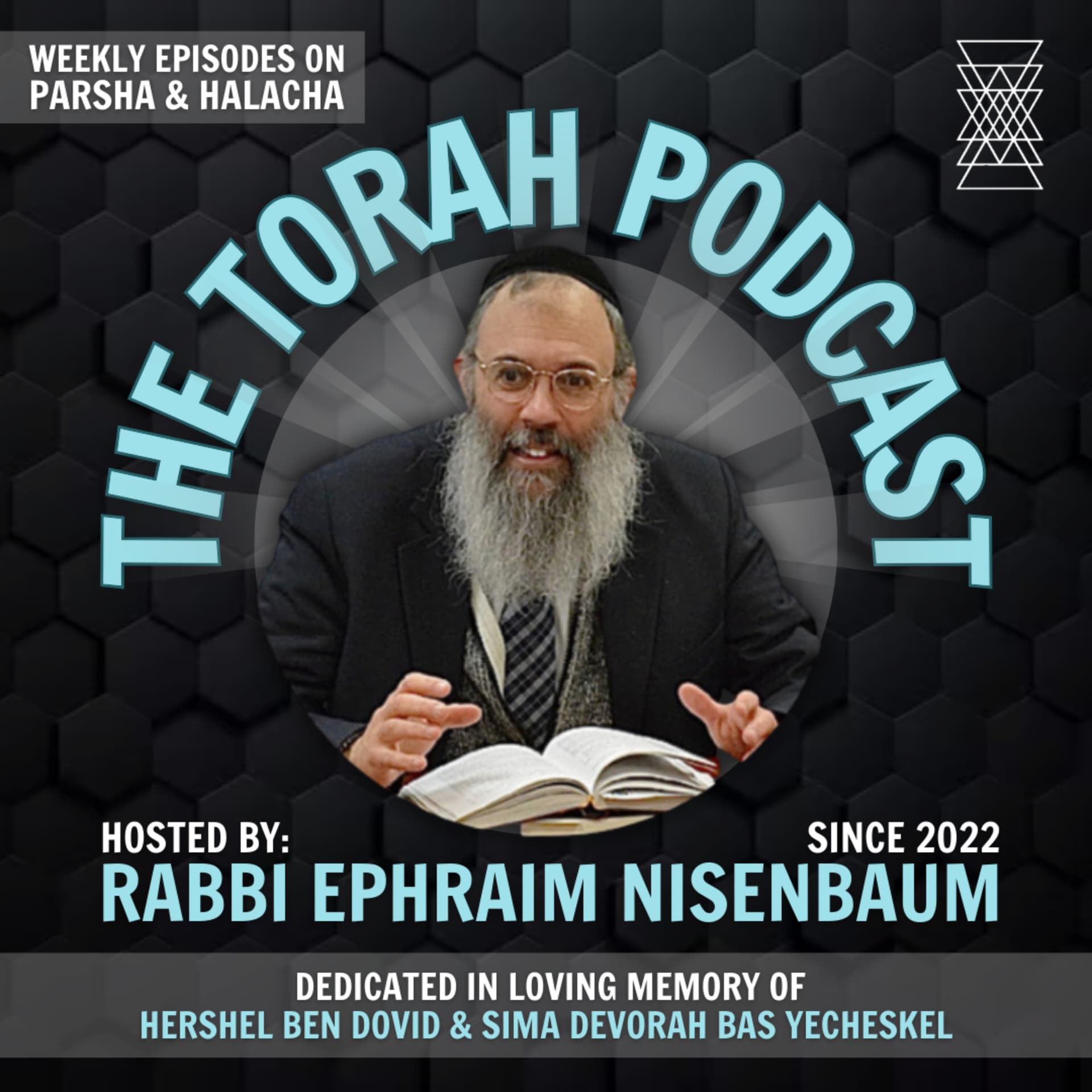 The Torah Podcast - Podcast